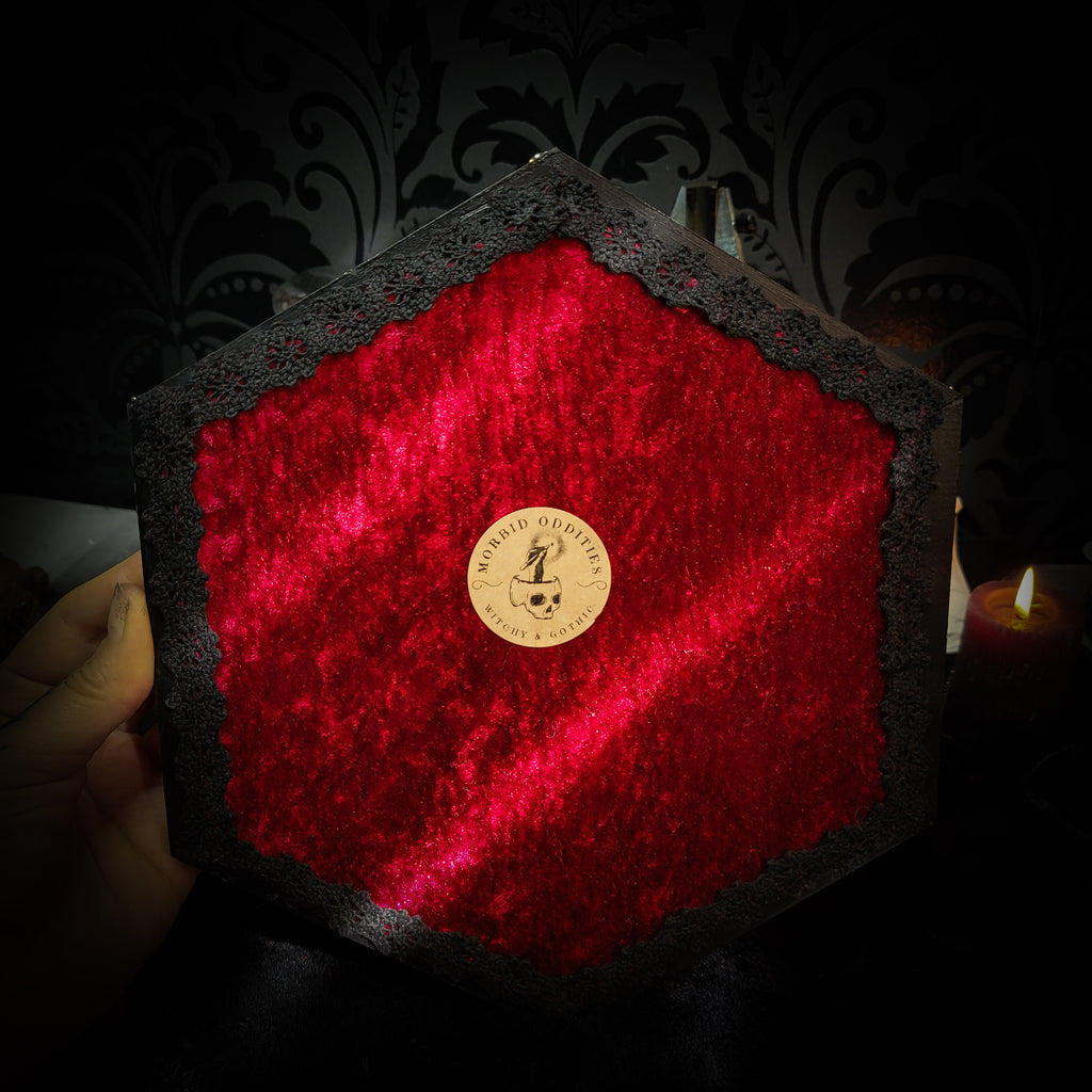 Cerberus | Collectors Work — handmade gothic wall decor with three real mink skulls, sculpted ears and tongues, decorative chains, silver crow ornaments and Latin inscription plaque on deep red velvet, hexagon frame, 23x27cm