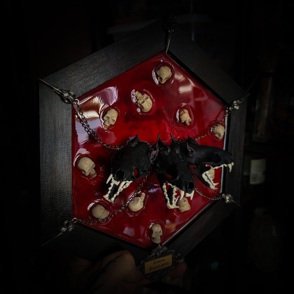 Cerberus | Collectors Work — handmade gothic wall decor with three real mink skulls, sculpted ears and tongues, decorative chains, silver crow ornaments and Latin inscription plaque on deep red velvet, hexagon frame, 23x27cm