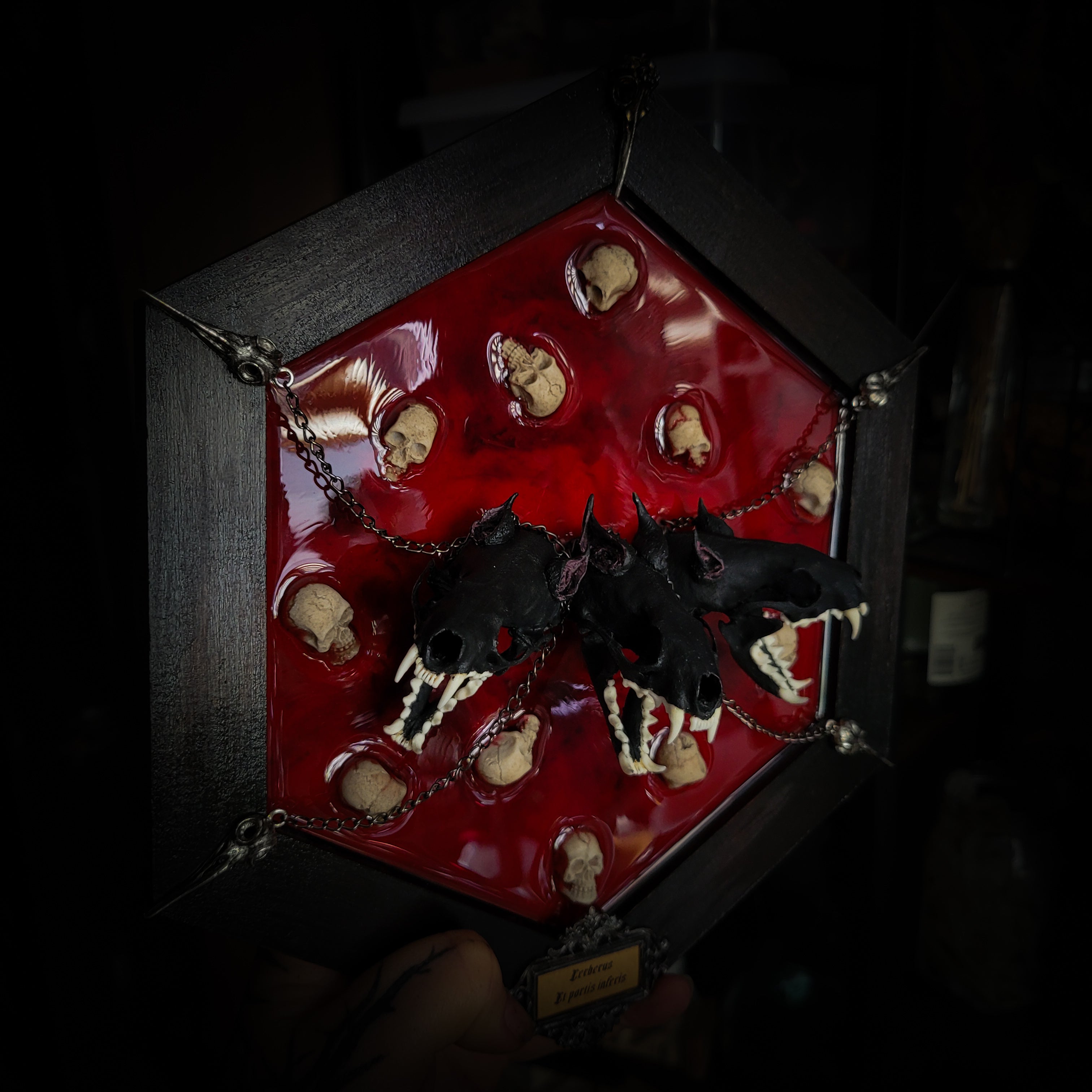 Cerberus | Collectors Work — handmade gothic wall decor with three real mink skulls, sculpted ears and tongues, decorative chains, silver crow ornaments and Latin inscription plaque on deep red velvet, hexagon frame, 23x27cm
