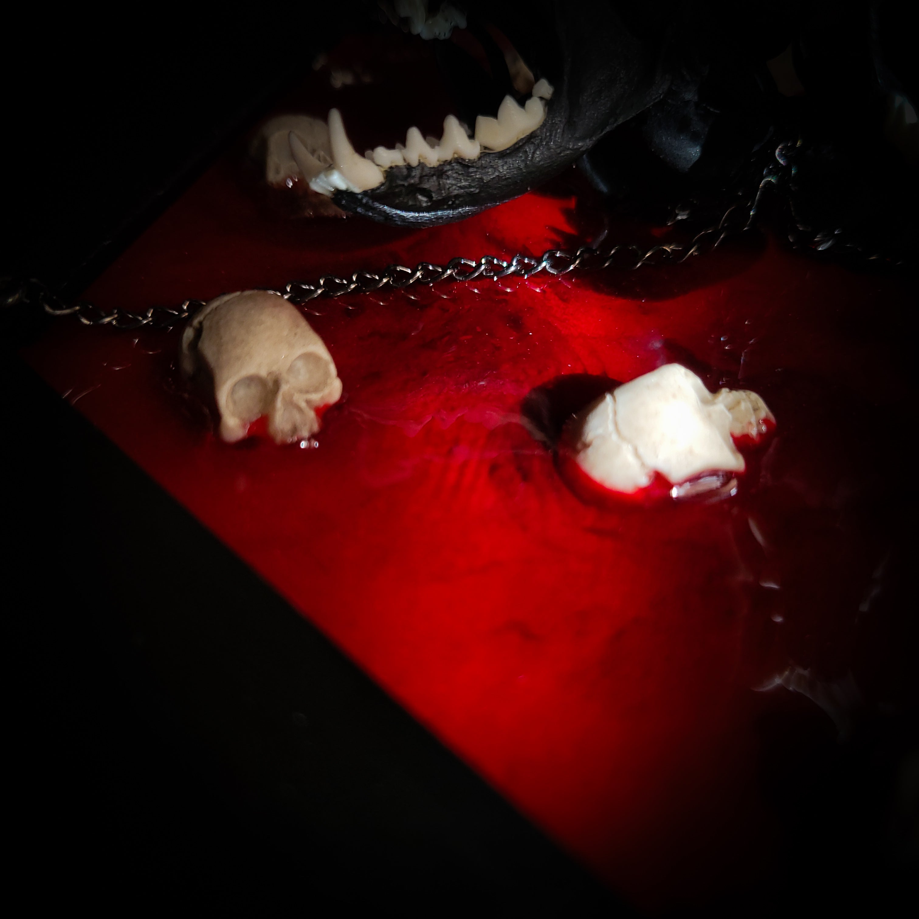 Cerberus | Collectors Work — handmade gothic wall decor with three real mink skulls, sculpted ears and tongues, decorative chains, silver crow ornaments and Latin inscription plaque on deep red velvet, hexagon frame, 23x27cm