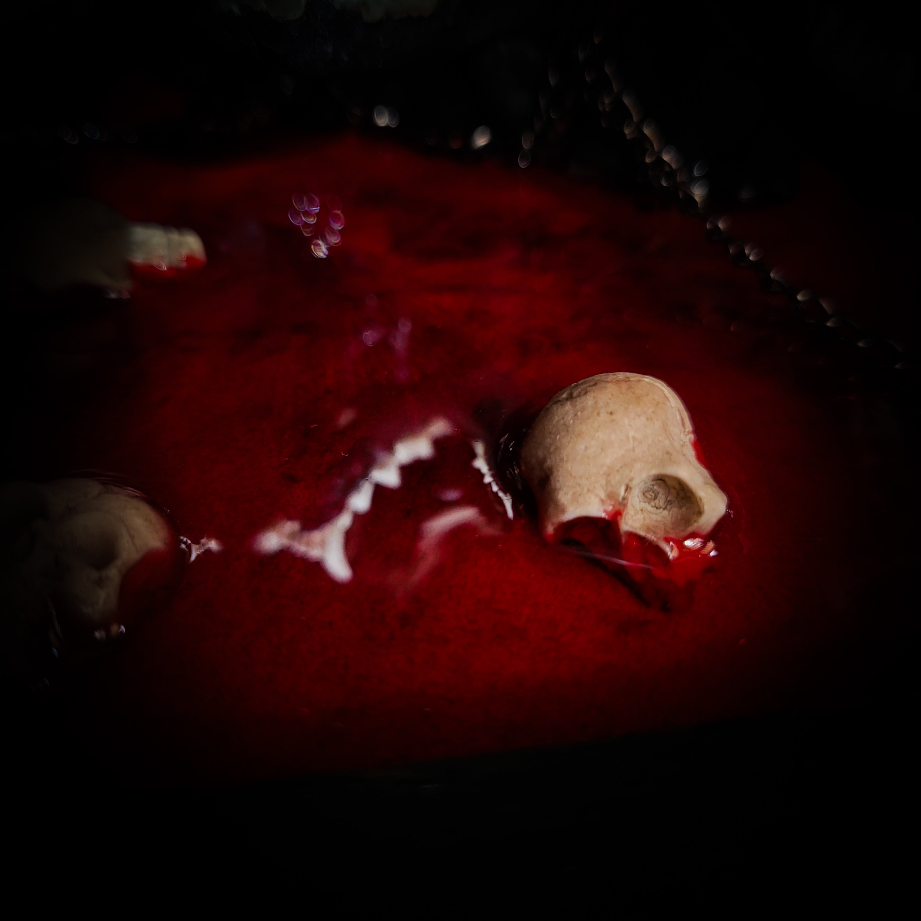 Red liquid with a skull and bones in a dark setting Cerberus | Collectors Work — handmade gothic wall decor with three real mink skulls, sculpted ears and tongues, decorative chains, silver crow ornaments and Latin inscription plaque on deep red velvet, hexagon frame, 23x27cm