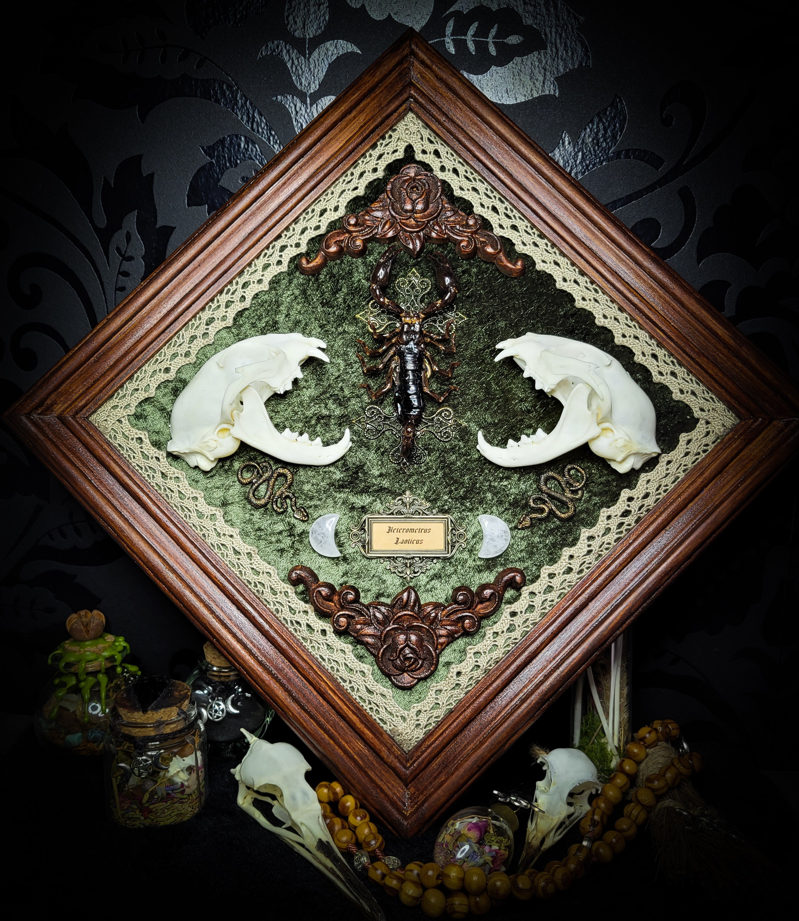 Venomous Elegance | Witches — handmade gothic tarot card holder with real cat skull, amethyst pendulum, twin serpent and crescent moon detailing, rose quartz and crystal elements on wooden base, 28x28cm