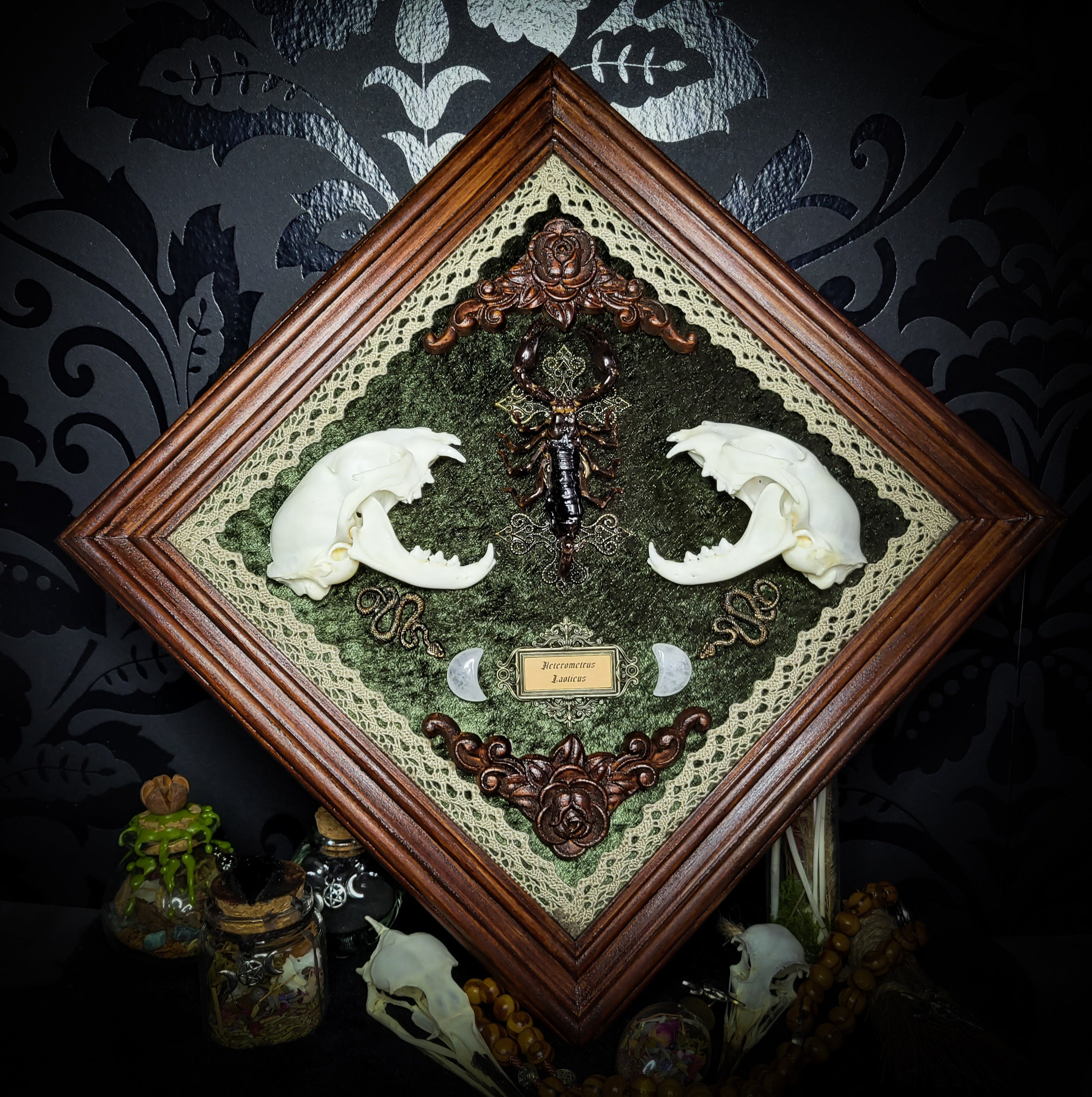 Venomous Elegance | Witches — handmade gothic tarot card holder with real cat skull, amethyst pendulum, twin serpent and crescent moon detailing, rose quartz and crystal elements on wooden base, 28x28cm