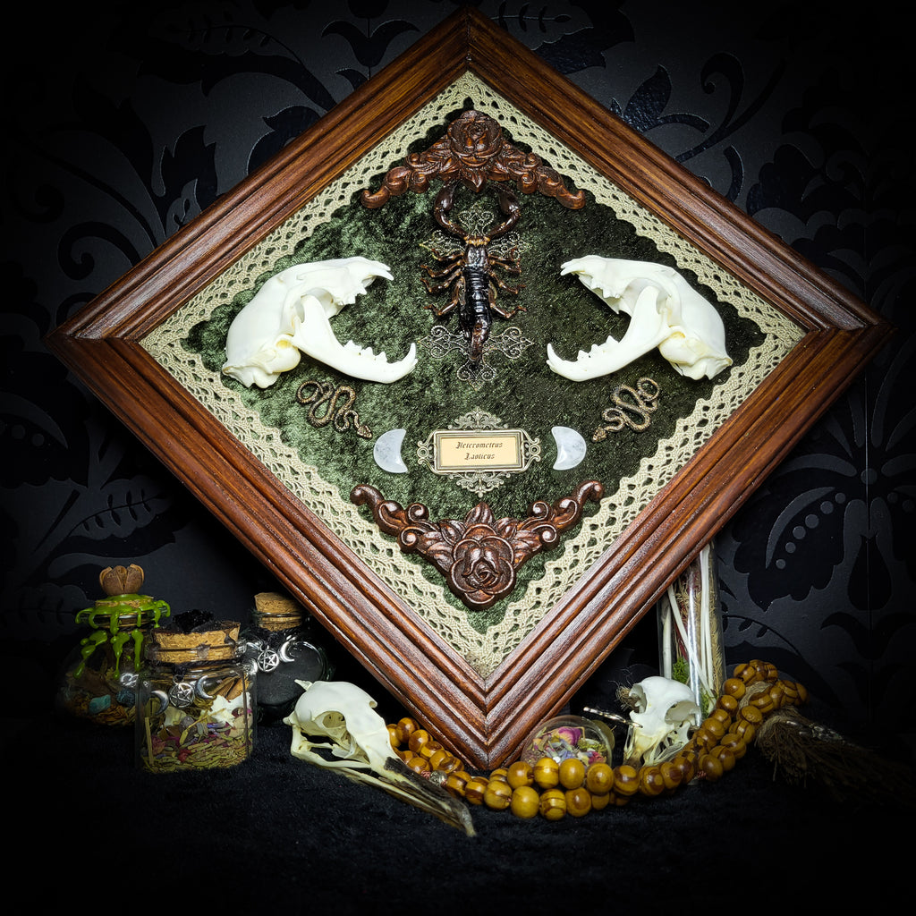 Venomous Elegance | Witches — handmade gothic tarot card holder with real cat skull, amethyst pendulum, twin serpent and crescent moon detailing, rose quartz and crystal elements on wooden base, 28x28cm