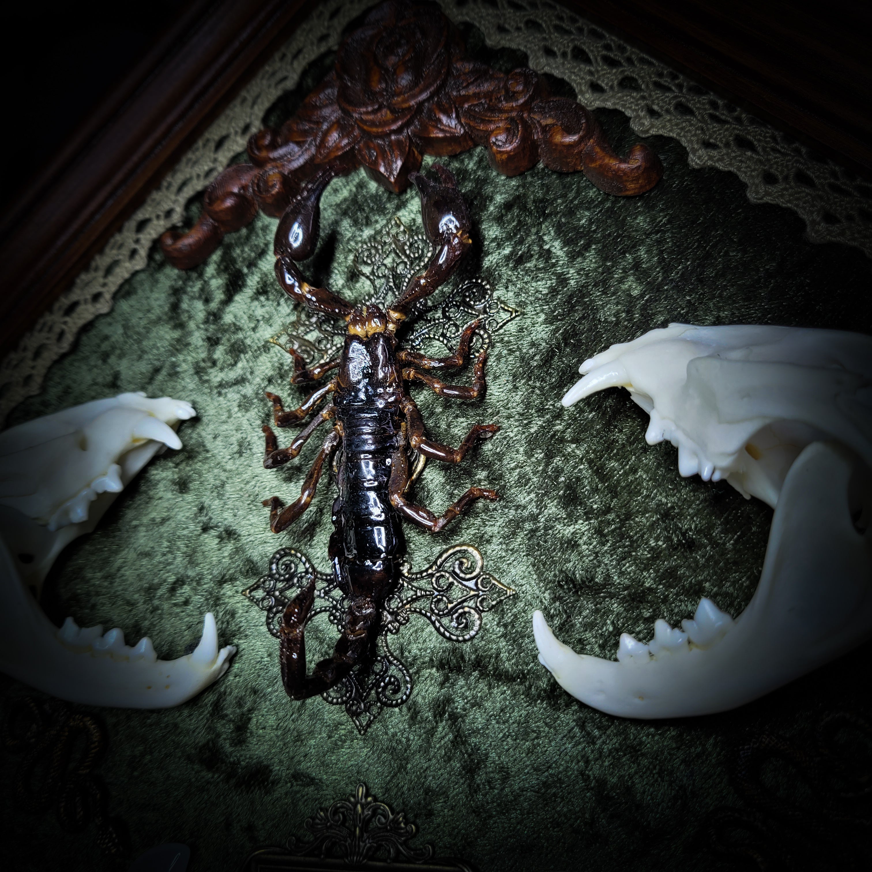 Venomous Elegance | Witches — handmade gothic tarot card holder with real cat skull, amethyst pendulum, twin serpent and crescent moon detailing, rose quartz and crystal elements on wooden base, 28x28cm