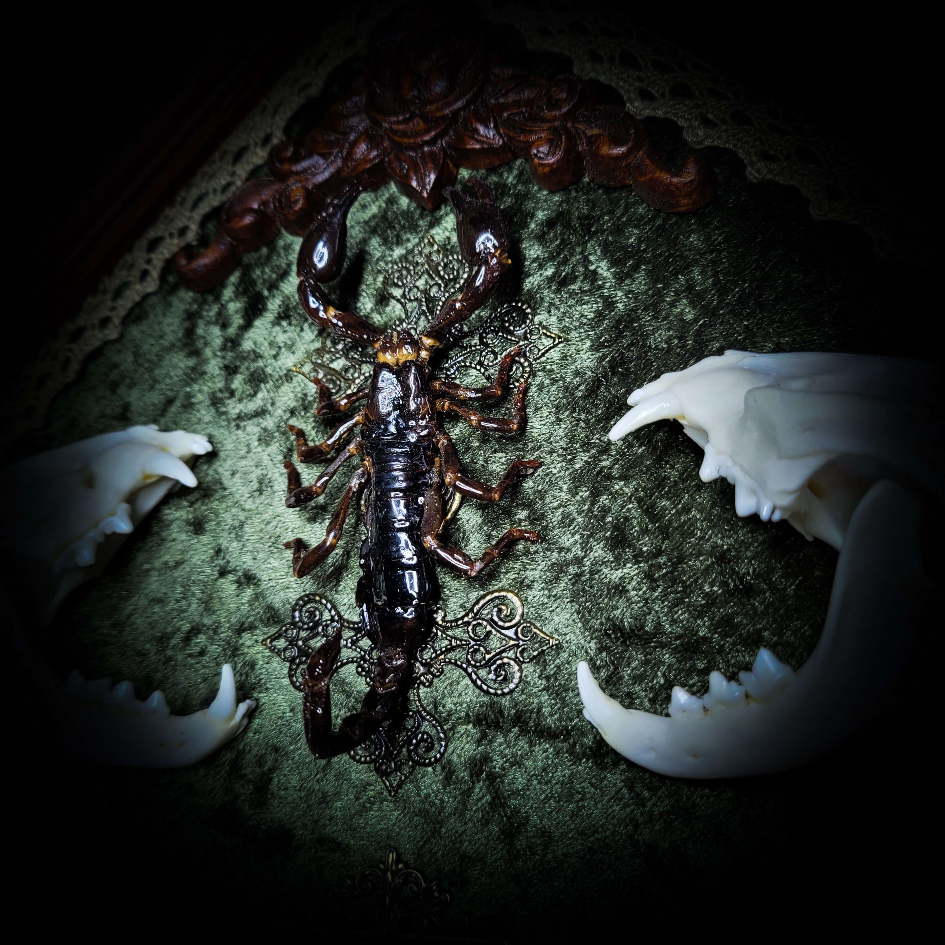 Venomous Elegance | Witches — handmade gothic tarot card holder with real cat skull, amethyst pendulum, twin serpent and crescent moon detailing, rose quartz and crystal elements on wooden base, 28x28cm