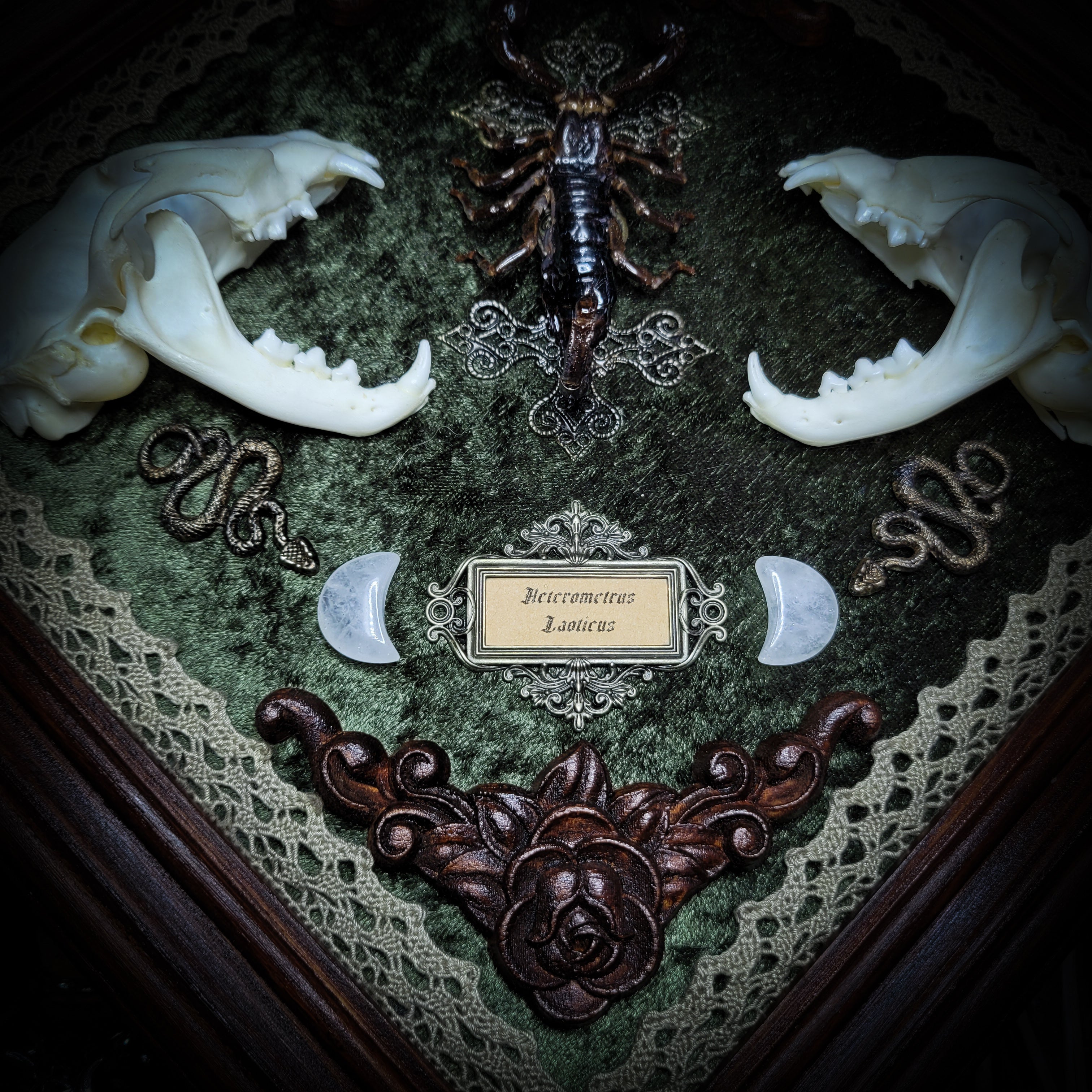 Venomous Elegance | Witches — handmade gothic tarot card holder with real cat skull, amethyst pendulum, twin serpent and crescent moon detailing, rose quartz and crystal elements on wooden base, 28x28cm