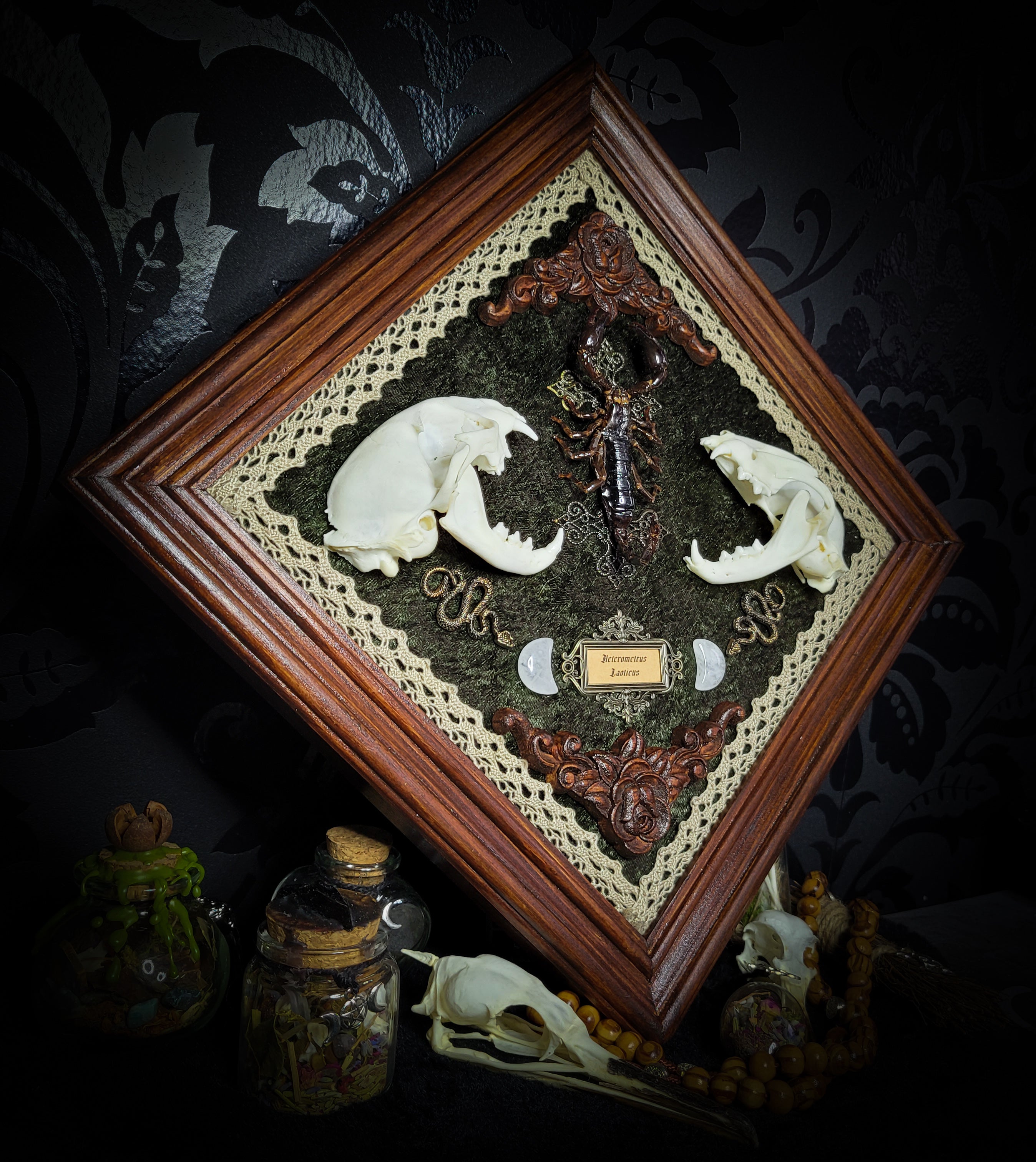 Venomous Elegance | Witches — handmade gothic tarot card holder with real cat skull, amethyst pendulum, twin serpent and crescent moon detailing, rose quartz and crystal elements on wooden base, 28x28cm