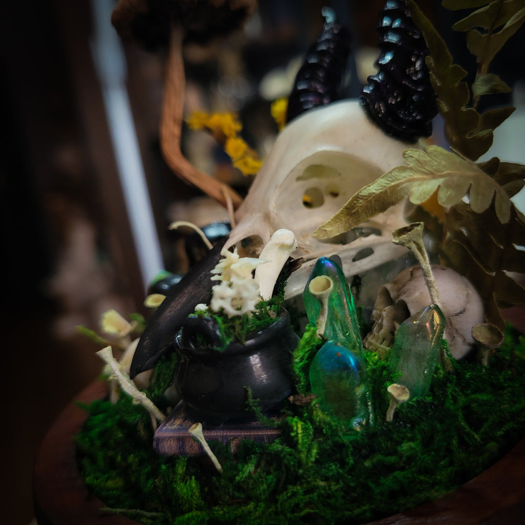 Universal Witch Altar Box — handmade witch altar box, made to order. Custom portable ritual space with pendulum board, obsidian scrying mirror, spell jars, wand, crystals, bones and symbolic elements. Dark witchcraft commission by Morbid Oddities.