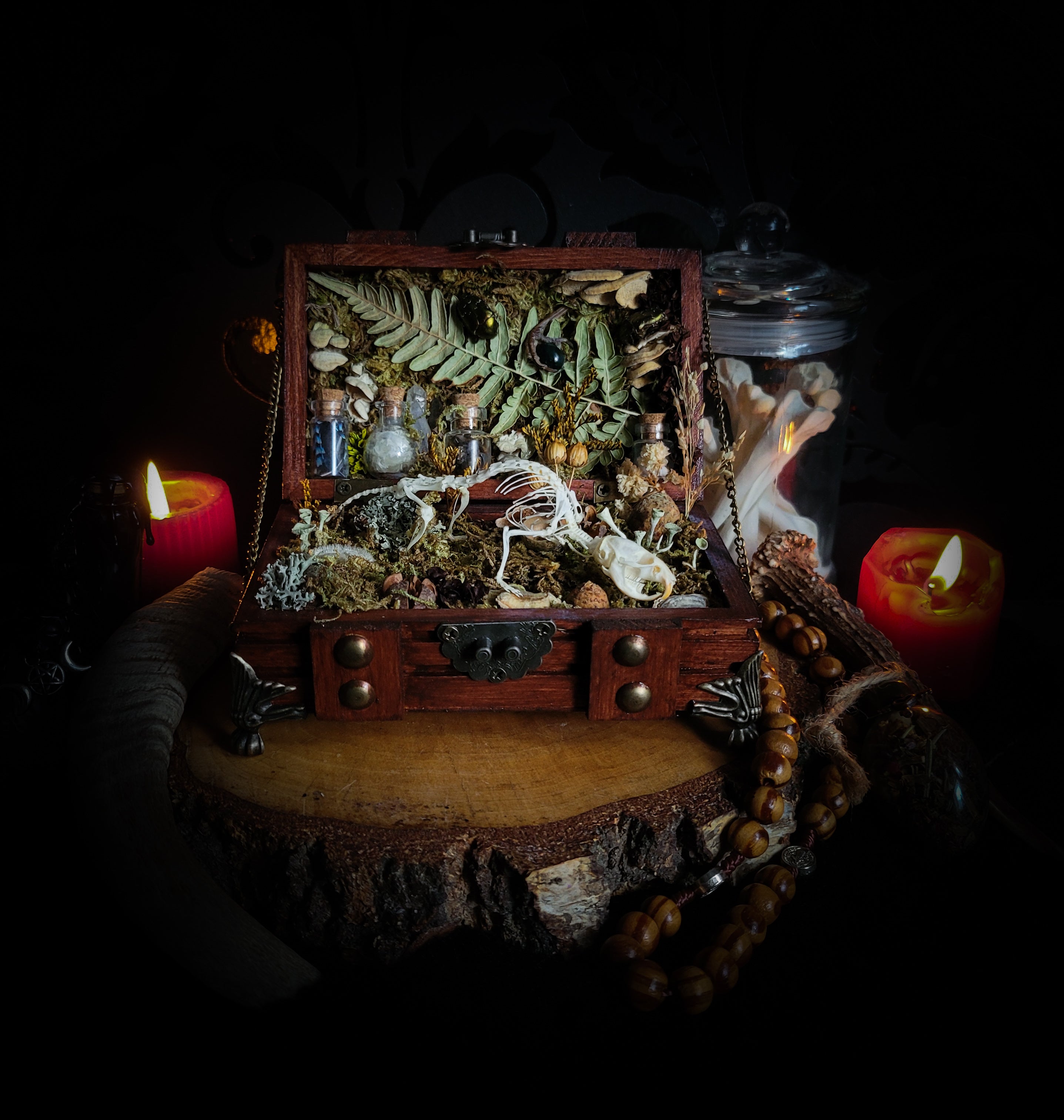 Wooden box with natural elements on a dark background Wild Familiar Woodland — gothic relic box with real mouse skeleton, forest botanicals and minerals, handmade dark decor