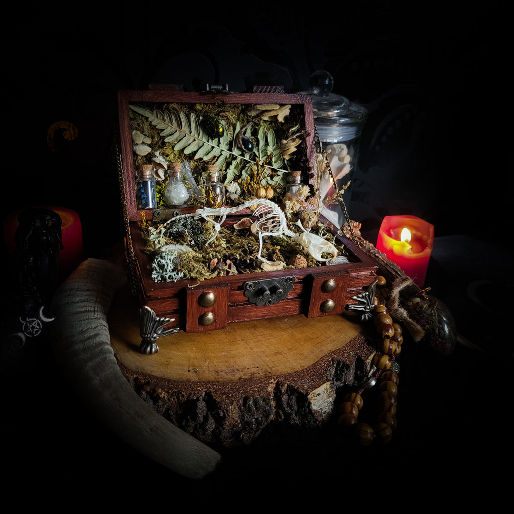 Wild Familiar Woodland — gothic relic box with real mouse skeleton, forest botanicals and minerals, handmade dark decor