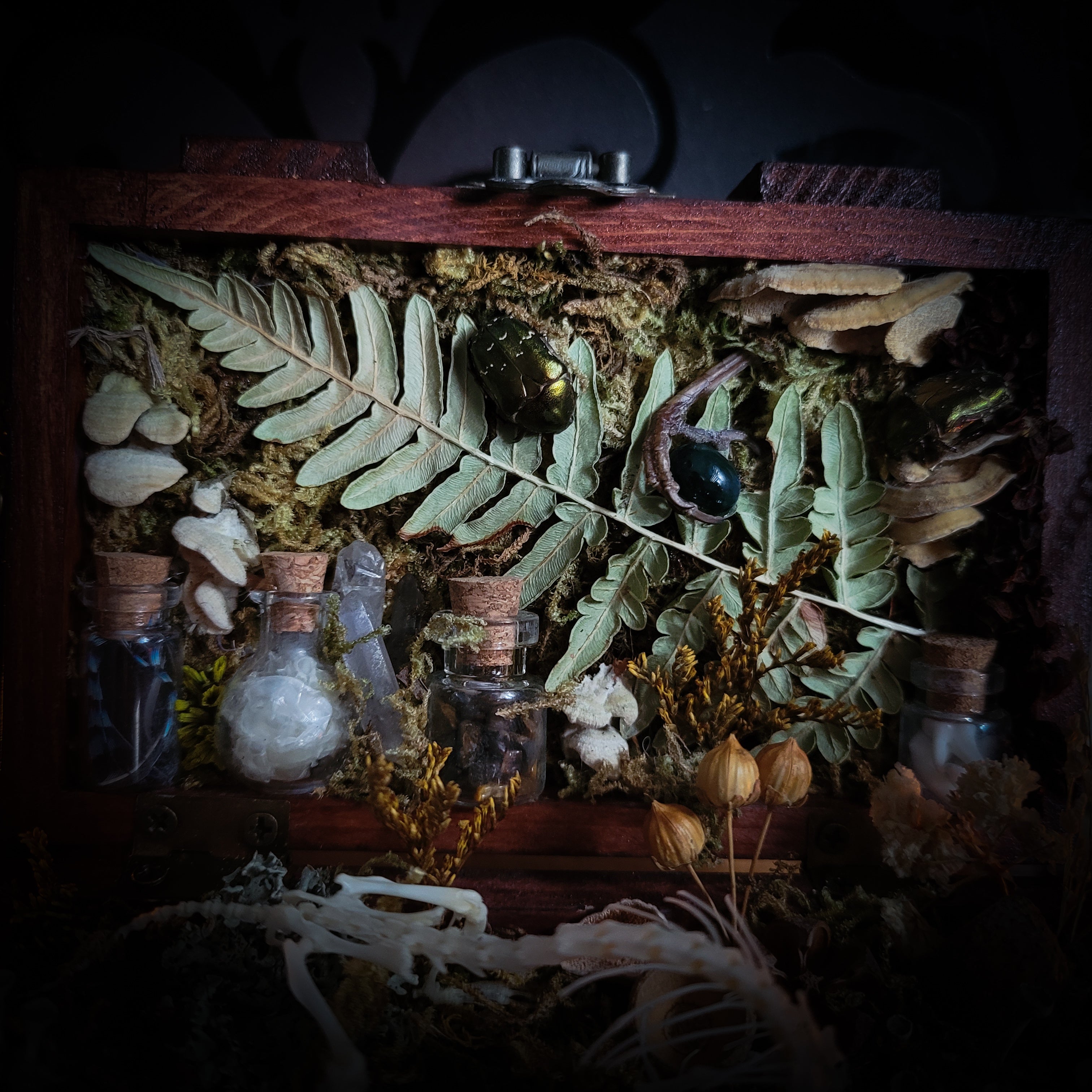 Wild Familiar Woodland — gothic relic box with real mouse skeleton, forest botanicals and minerals, handmade dark decor
