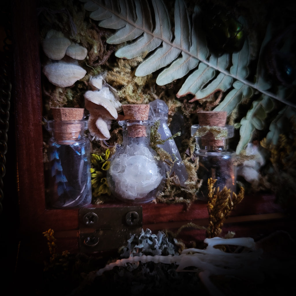 Wild Familiar Woodland — gothic relic box with real mouse skeleton, forest botanicals and minerals, handmade dark decor