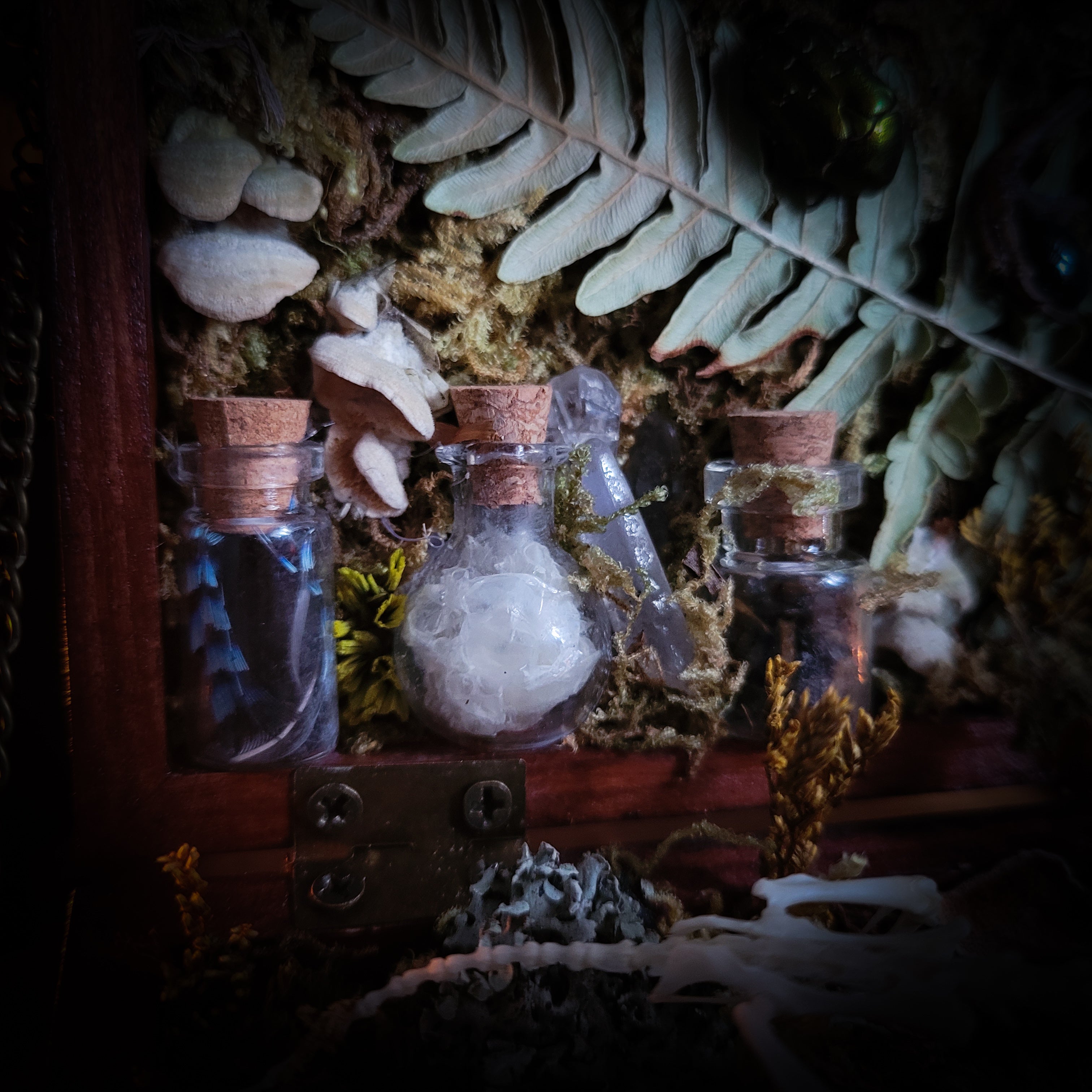 Wild Familiar Woodland — gothic relic box with real mouse skeleton, forest botanicals and minerals, handmade dark decor