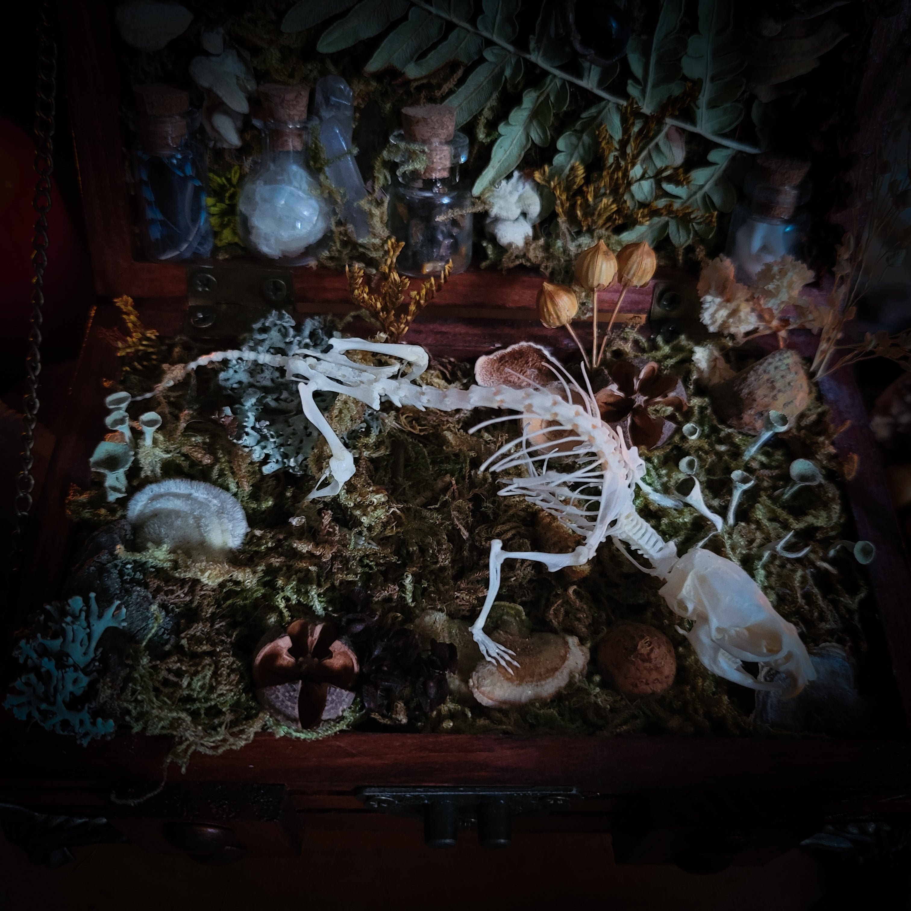 Wild Familiar Woodland — gothic relic box with real mouse skeleton, forest botanicals and minerals, handmade dark decor
