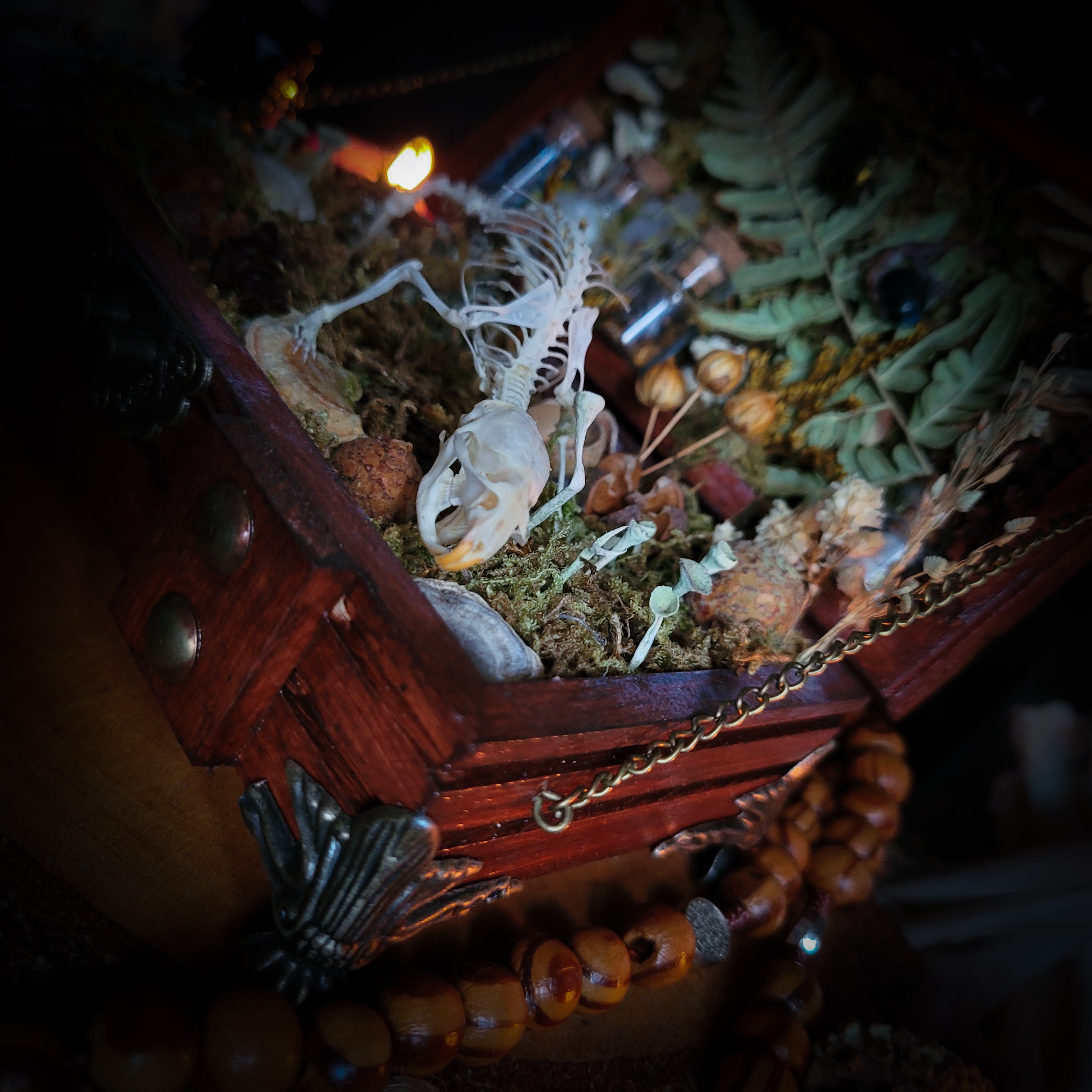 Wild Familiar Woodland — gothic relic box with real mouse skeleton, forest botanicals and minerals, handmade dark decor