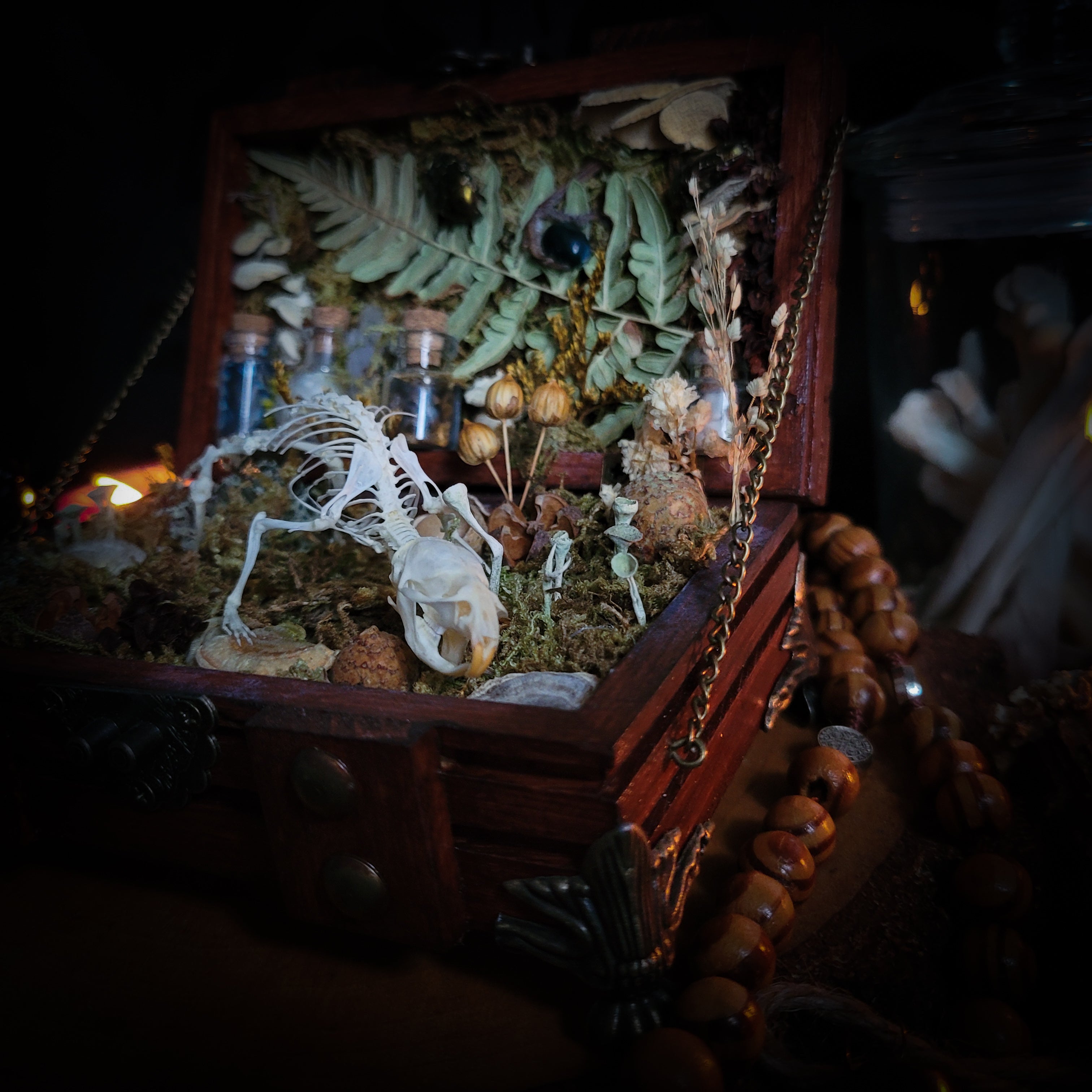 Wild Familiar Woodland — gothic relic box with real mouse skeleton, forest botanicals and minerals, handmade dark decor