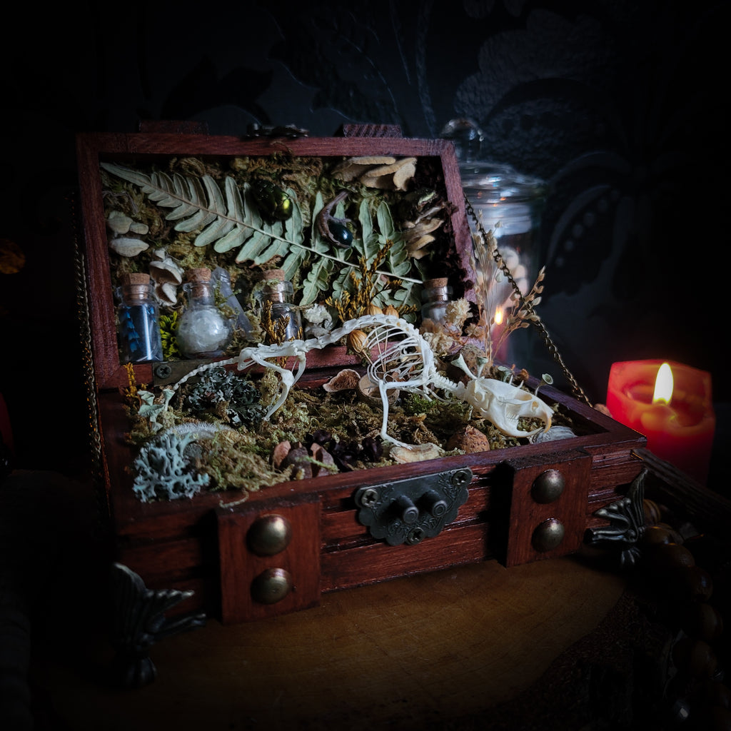 Wild Familiar Woodland — gothic relic box with real mouse skeleton, forest botanicals and minerals, handmade dark decor