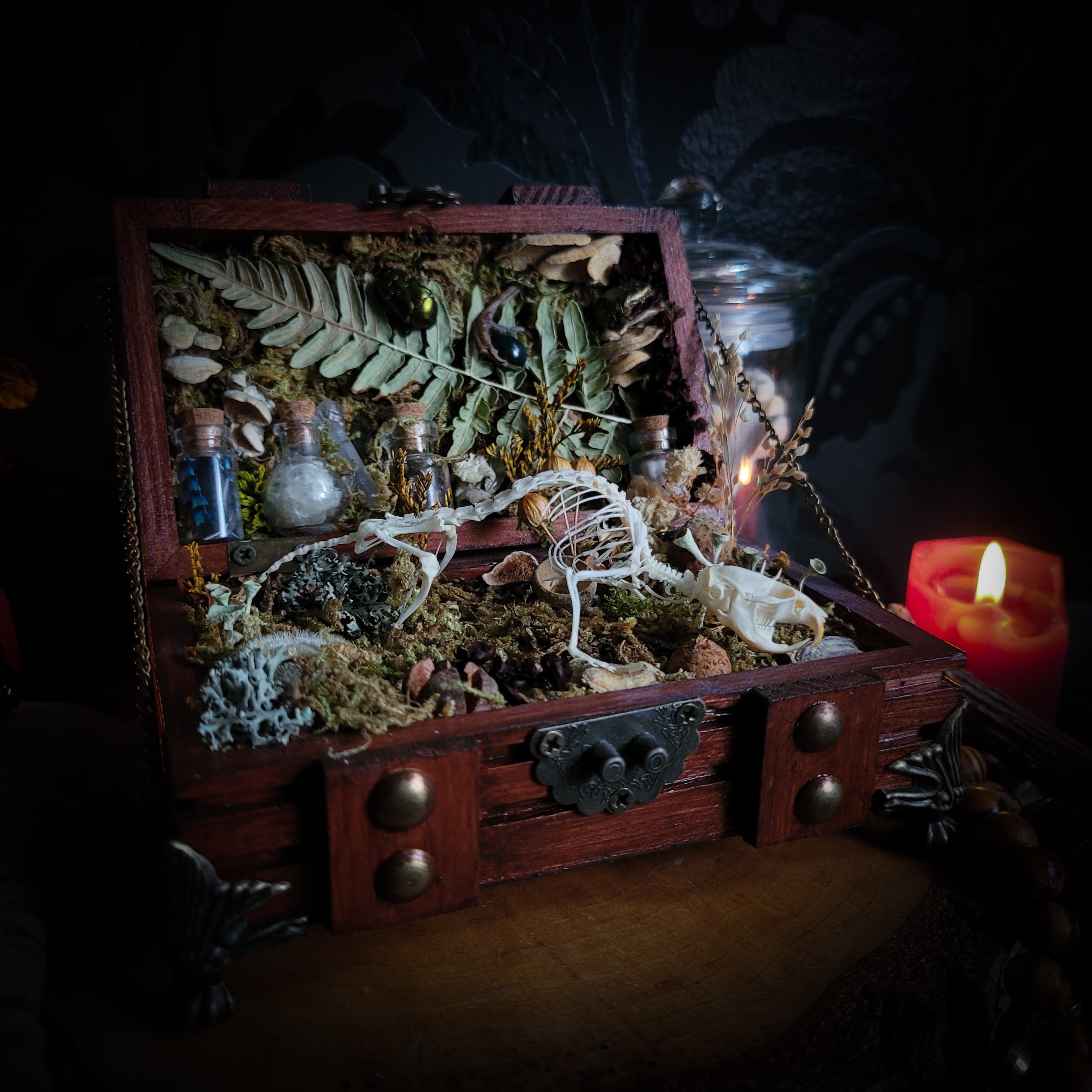 Wild Familiar Woodland — gothic relic box with real mouse skeleton, forest botanicals and minerals, handmade dark decor