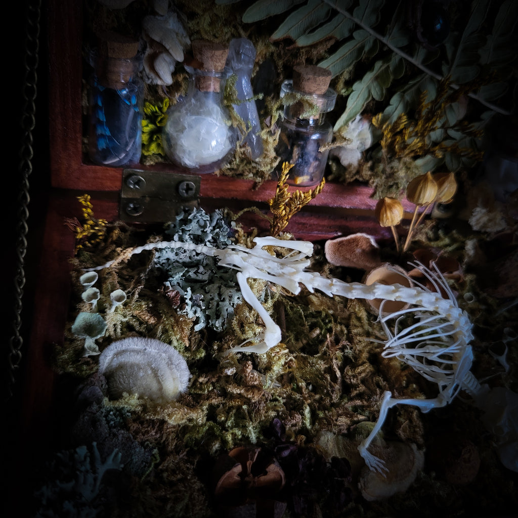 Wild Familiar Woodland — gothic relic box with real mouse skeleton, forest botanicals and minerals, handmade dark decor