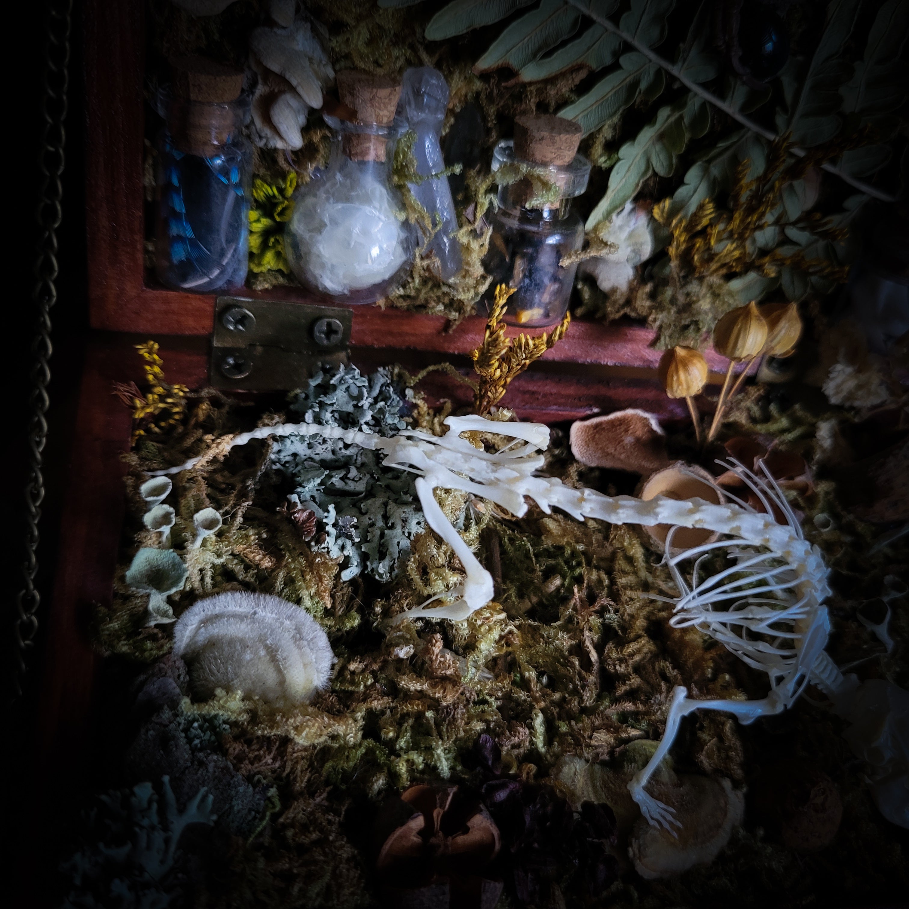 Wild Familiar Woodland — gothic relic box with real mouse skeleton, forest botanicals and minerals, handmade dark decor