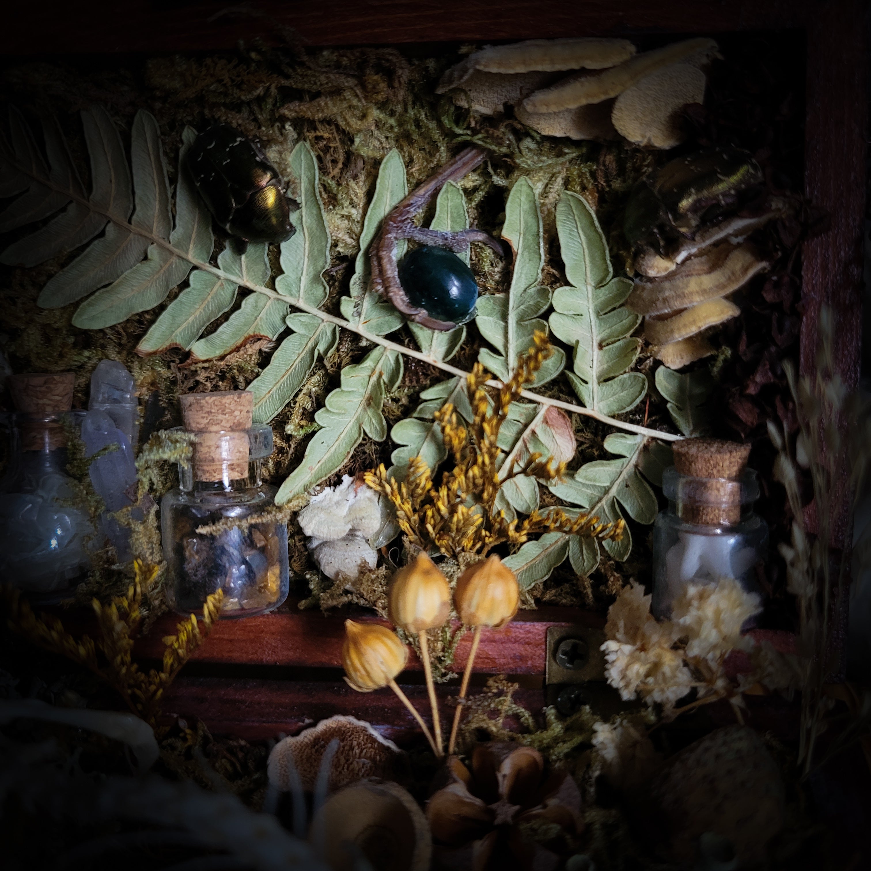 Wild Familiar Woodland — gothic relic box with real mouse skeleton, forest botanicals and minerals, handmade dark decor