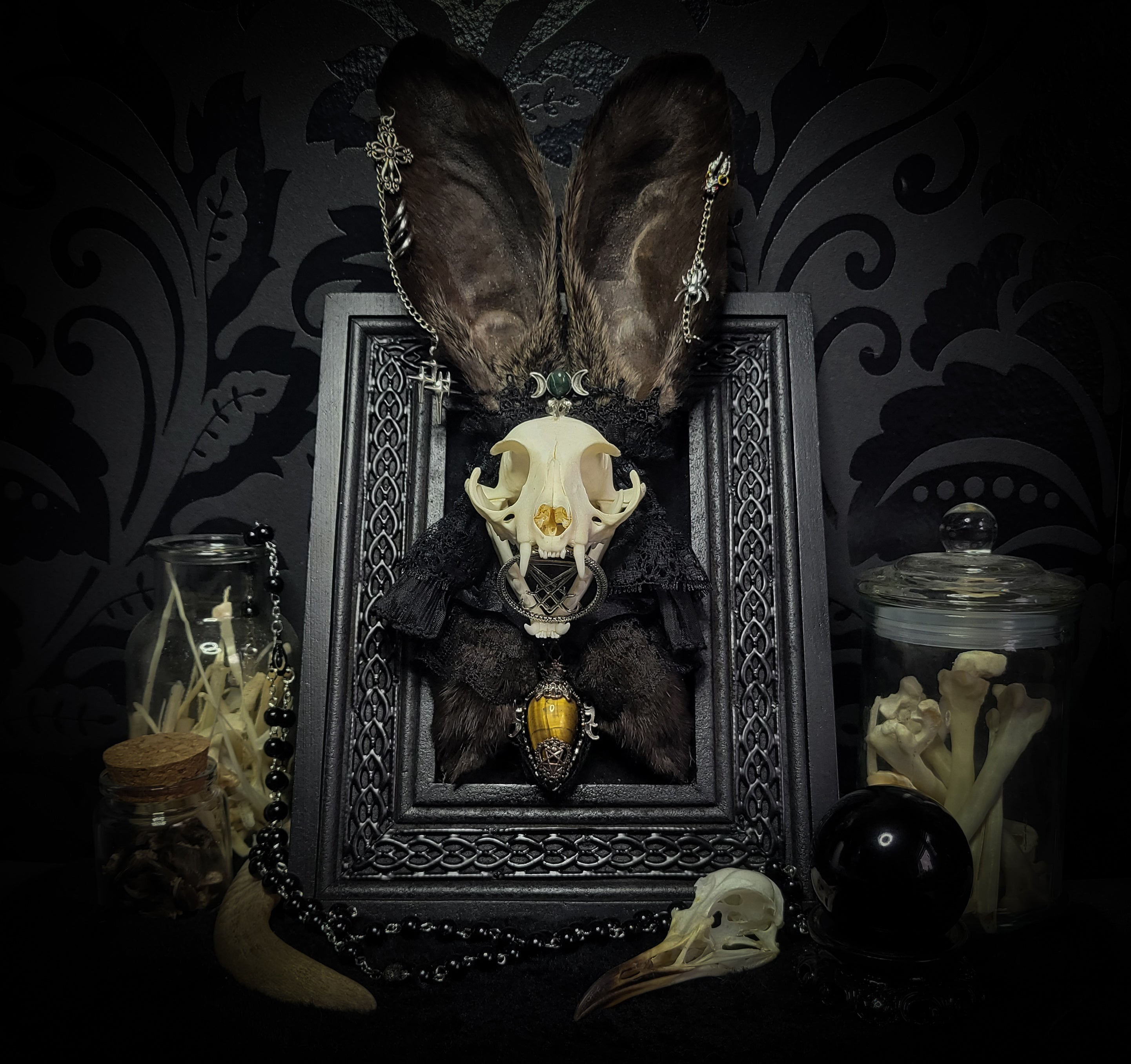 Bunny Kitten — handmade gothic shadowbox, made to order. Real cat skull with preserved bunny ears and paws, set on velvet background in ornate hand-finished frame with lace and decorative details. Dark whimsical collectible decor.