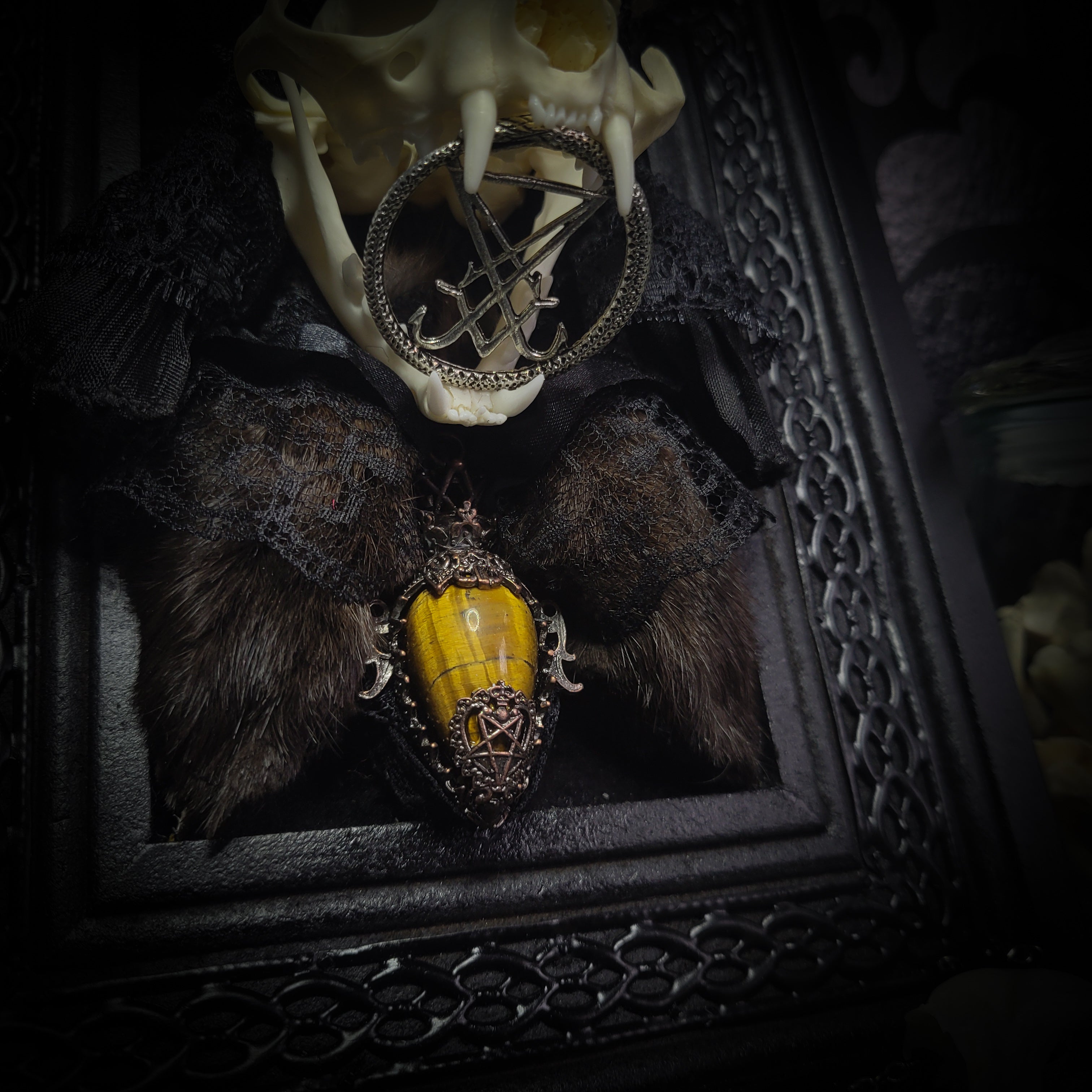 Bunny Kitten — handmade gothic shadowbox, made to order. Real cat skull with preserved bunny ears and paws, set on velvet background in ornate hand-finished frame with lace and decorative details. Dark whimsical collectible decor.