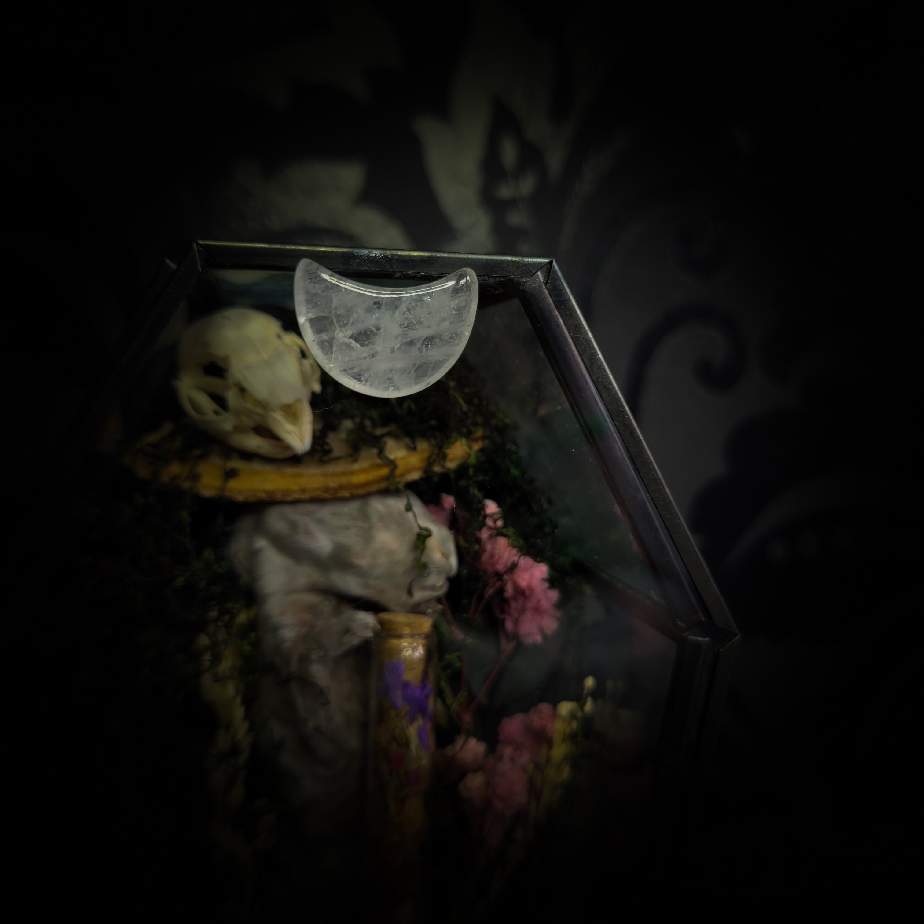 Silent Garden | Woodland — handmade gothic display with mummified baby bunny, rabbit skull, carved quartz moon, preserved roses, florals and crystals in glass coffin case on hand-finished base, 19x9.5cm