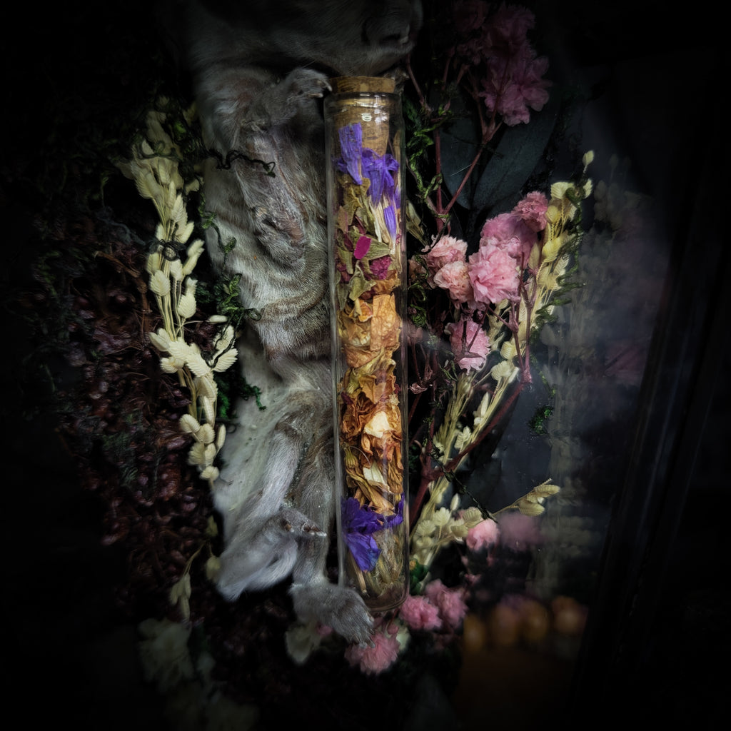 Silent Garden | Woodland — handmade gothic display with mummified baby bunny, rabbit skull, carved quartz moon, preserved roses, florals and crystals in glass coffin case on hand-finished base, 19x9.5cm