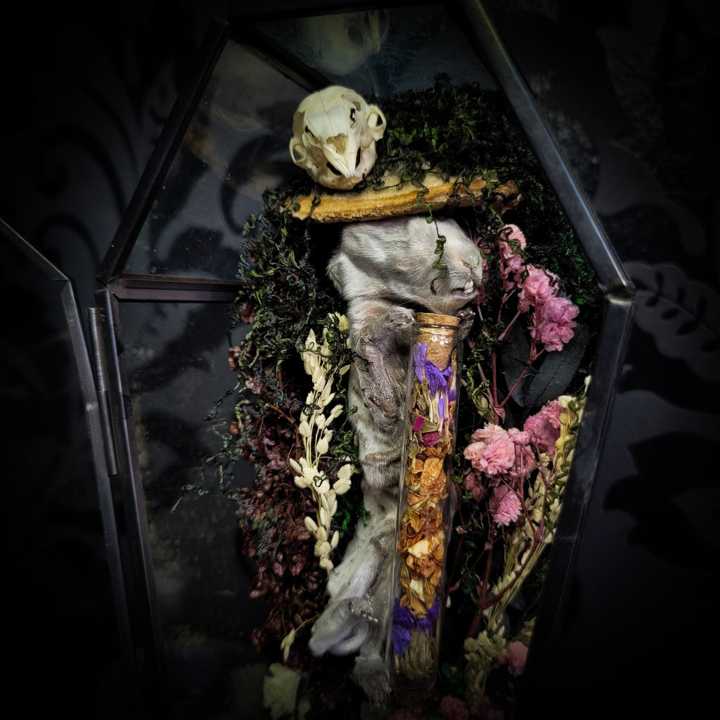 Silent Garden | Woodland — handmade gothic display with mummified baby bunny, rabbit skull, carved quartz moon, preserved roses, florals and crystals in glass coffin case on hand-finished base, 19x9.5cm