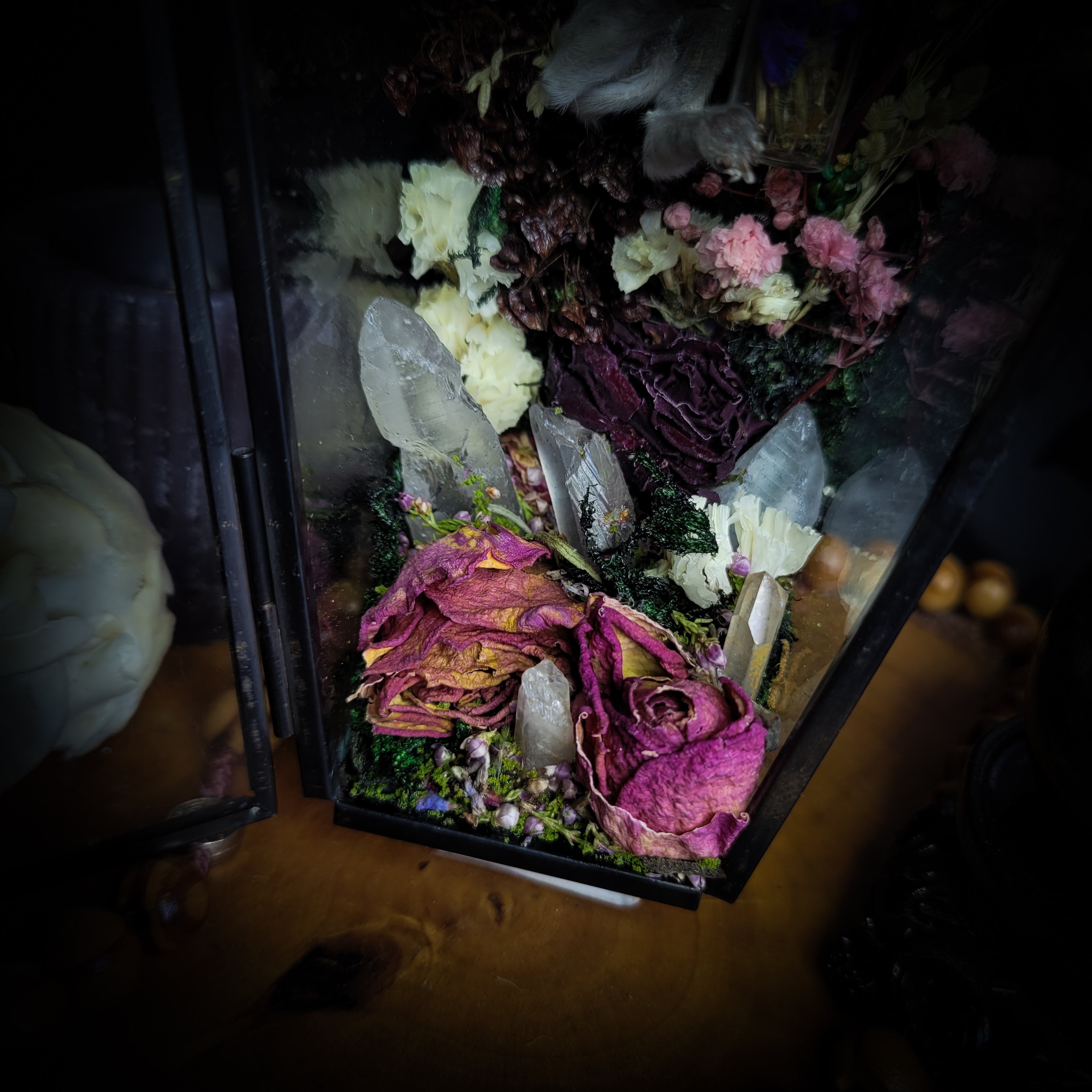 Silent Garden | Woodland — handmade gothic display with mummified baby bunny, rabbit skull, carved quartz moon, preserved roses, florals and crystals in glass coffin case on hand-finished base, 19x9.5cm