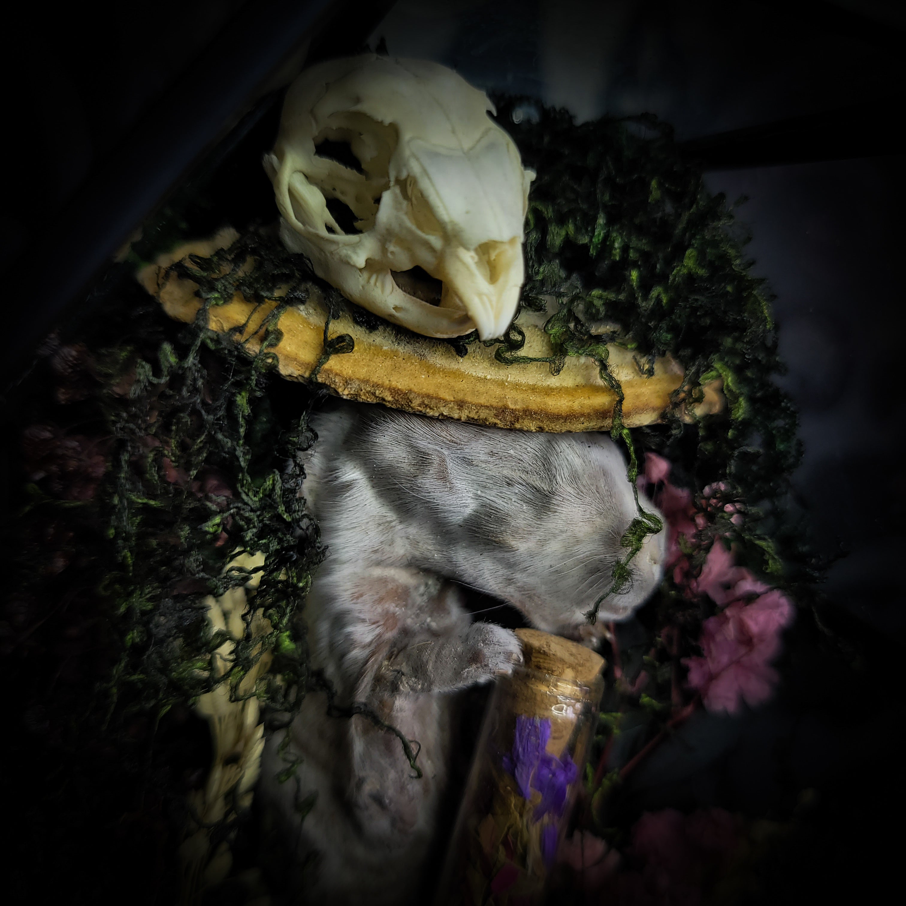 Silent Garden | Woodland — handmade gothic display with mummified baby bunny, rabbit skull, carved quartz moon, preserved roses, florals and crystals in glass coffin case on hand-finished base, 19x9.5cm