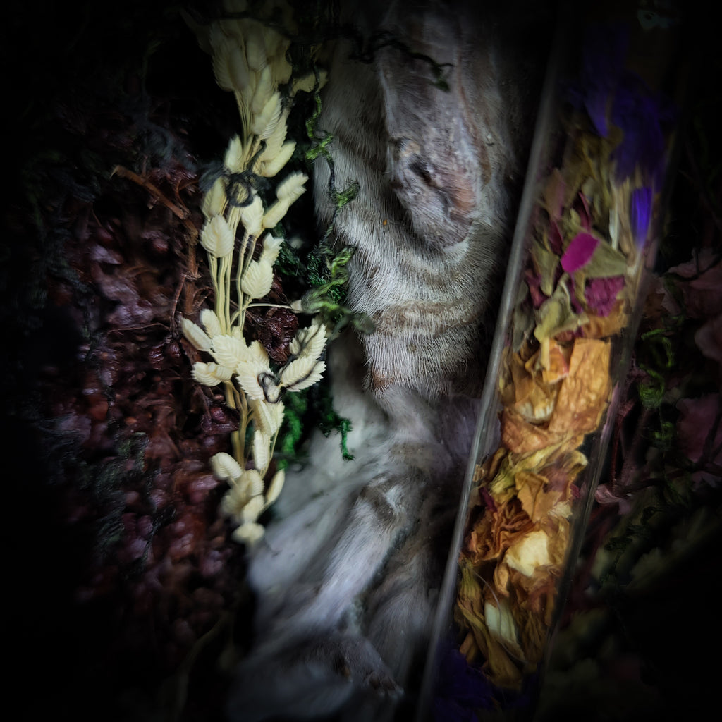 Silent Garden | Woodland — handmade gothic display with mummified baby bunny, rabbit skull, carved quartz moon, preserved roses, florals and crystals in glass coffin case on hand-finished base, 19x9.5cm