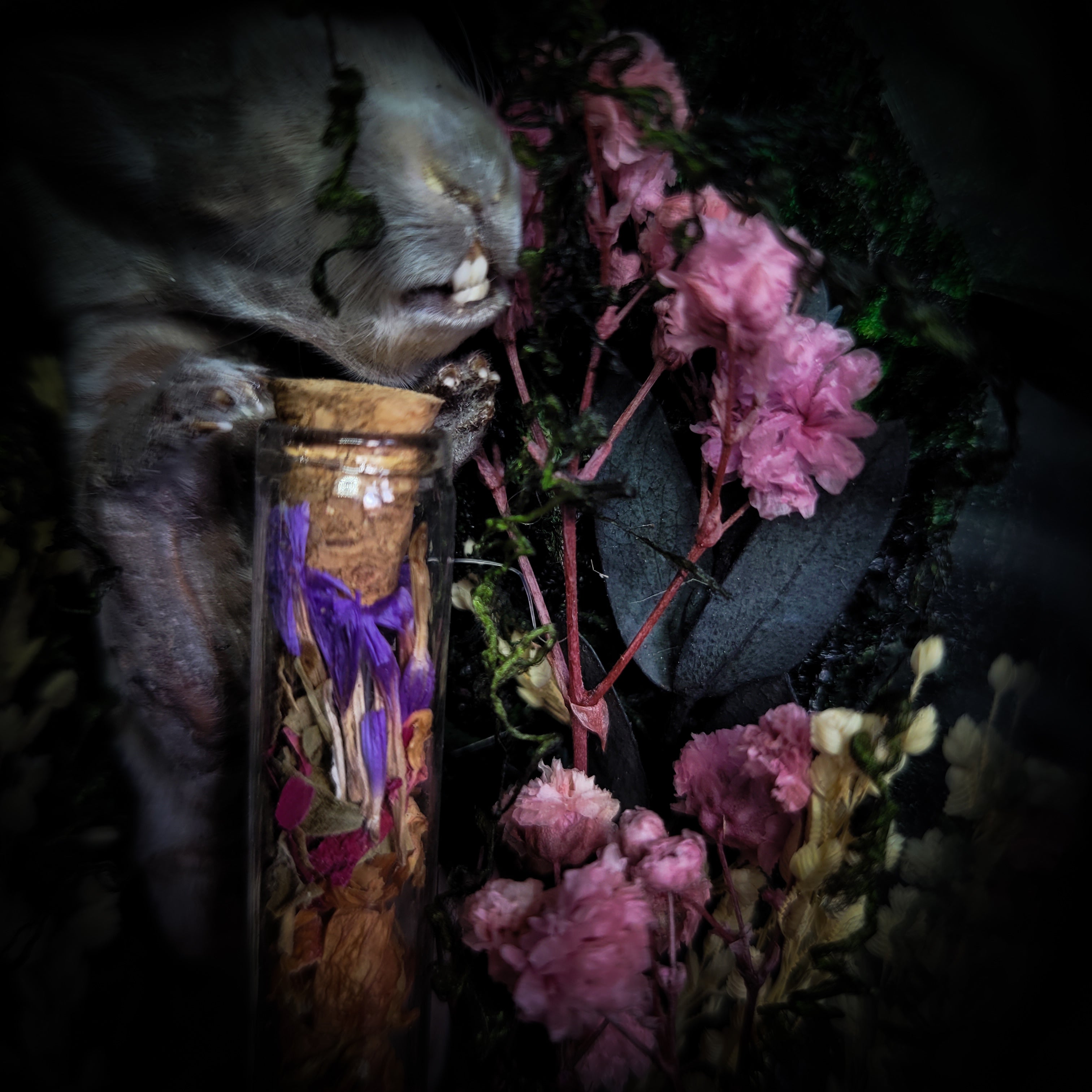 Silent Garden | Woodland — handmade gothic display with mummified baby bunny, rabbit skull, carved quartz moon, preserved roses, florals and crystals in glass coffin case on hand-finished base, 19x9.5cm