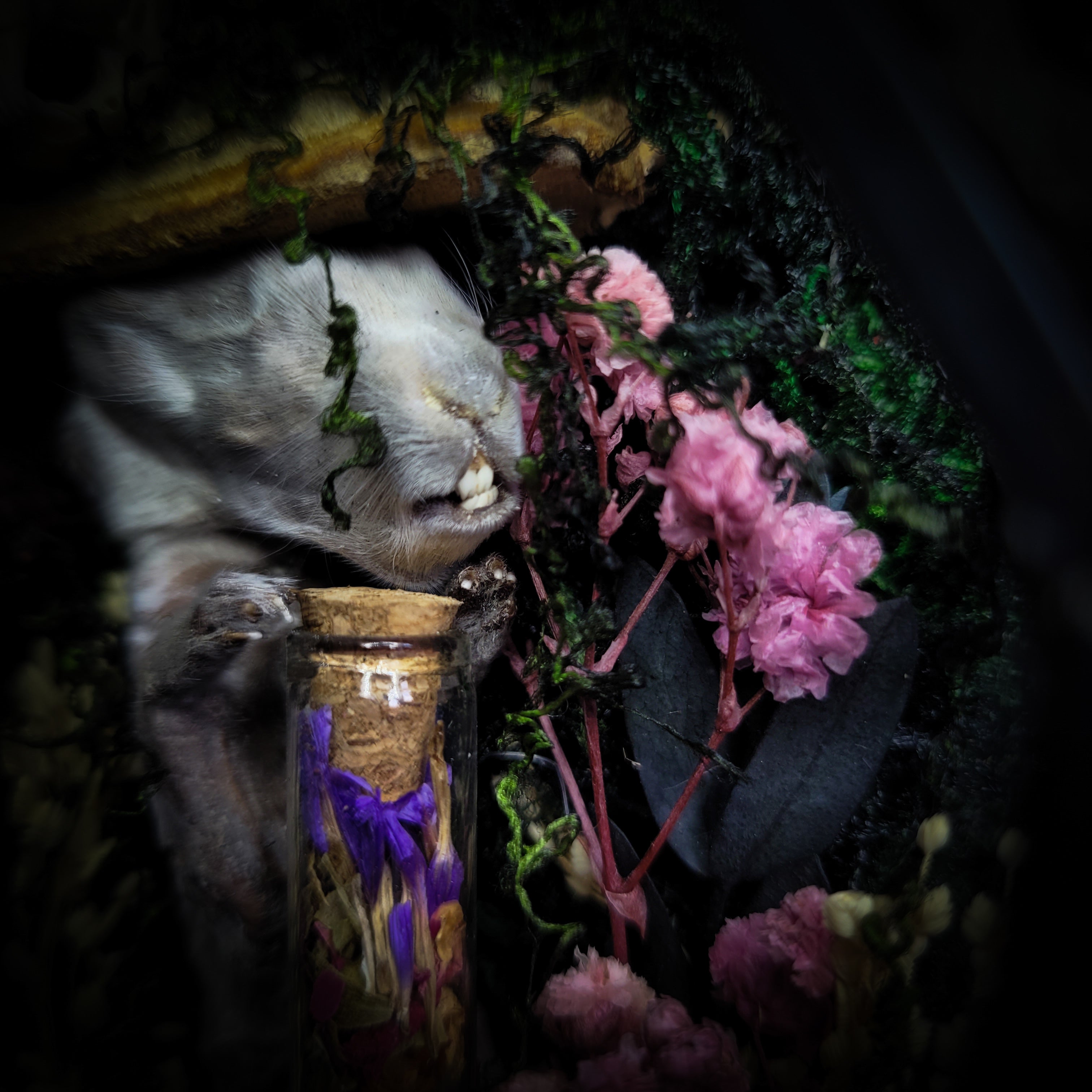 Silent Garden | Woodland — handmade gothic display with mummified baby bunny, rabbit skull, carved quartz moon, preserved roses, florals and crystals in glass coffin case on hand-finished base, 19x9.5cm