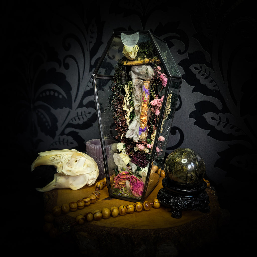 Silent Garden | Woodland — handmade gothic display with mummified baby bunny, rabbit skull, carved quartz moon, preserved roses, florals and crystals in glass coffin case on hand-finished base, 19x9.5cm