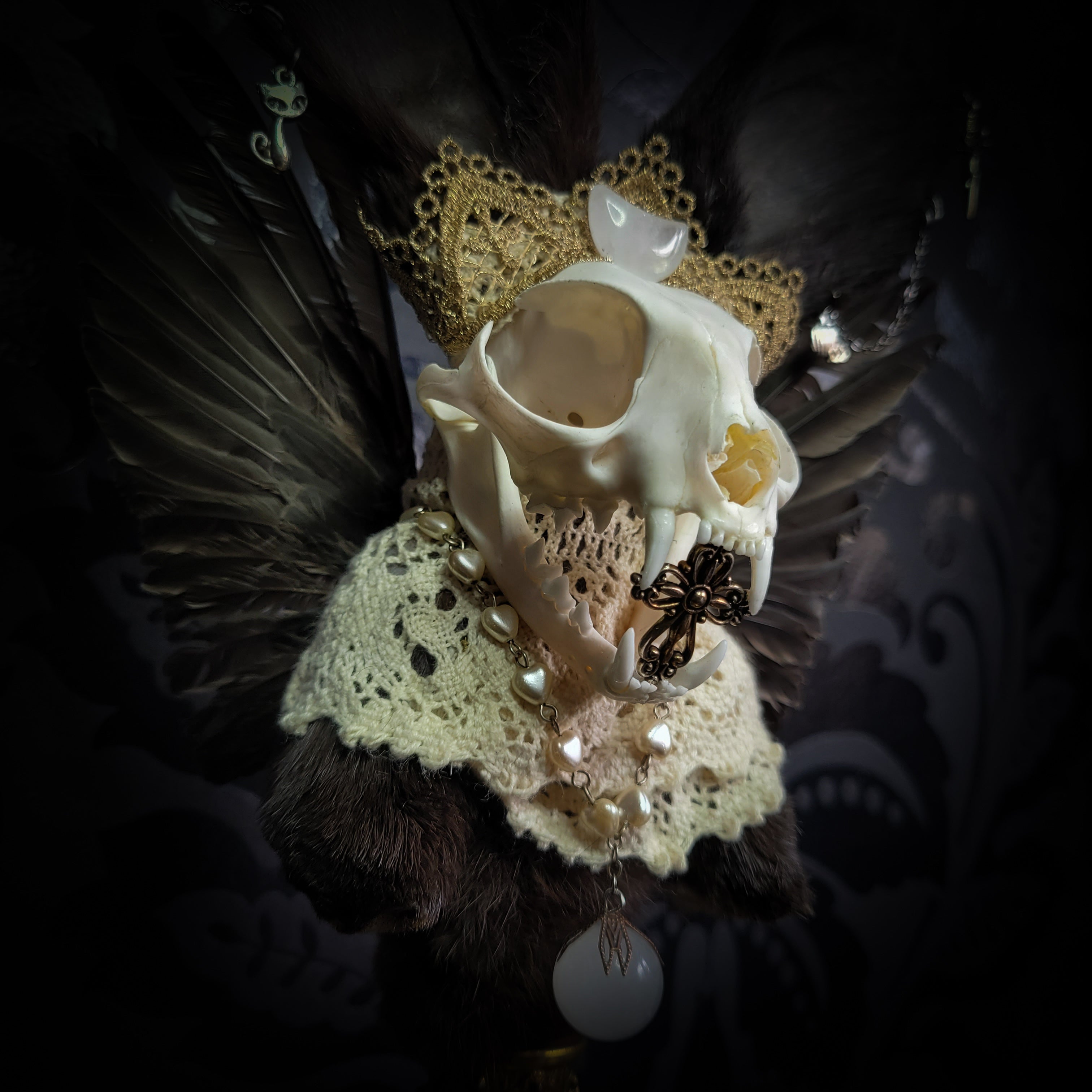 Silent Companion — handmade gothic art doll, made to order. One-of-a-kind puppet with real animal skull on antique decorative base, fully handmade original character. Dark collectible sculpture by Morbid Oddities.