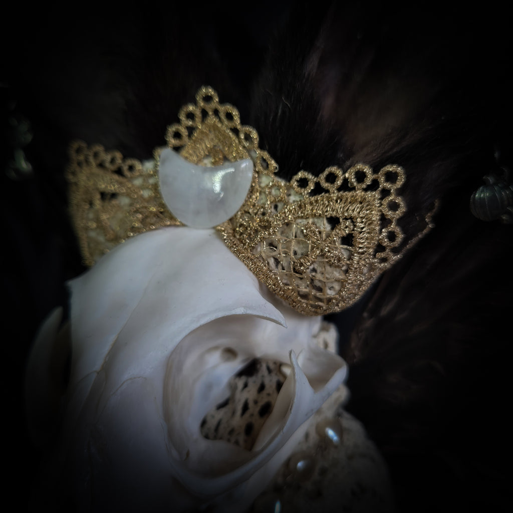 Silent Companion — handmade gothic art doll, made to order. One-of-a-kind puppet with real animal skull on antique decorative base, fully handmade original character. Dark collectible sculpture by Morbid Oddities.