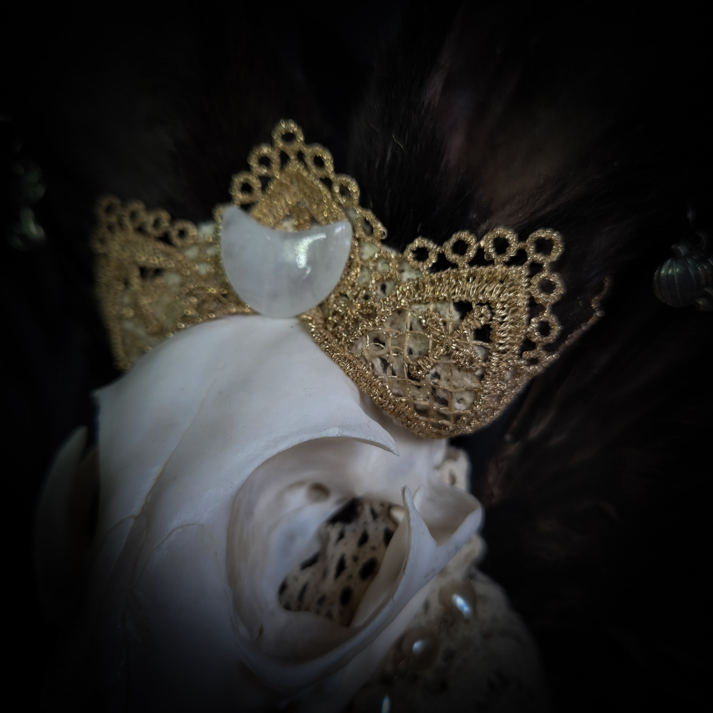 Silent Companion — handmade gothic art doll, made to order. One-of-a-kind puppet with real animal skull on antique decorative base, fully handmade original character. Dark collectible sculpture by Morbid Oddities.