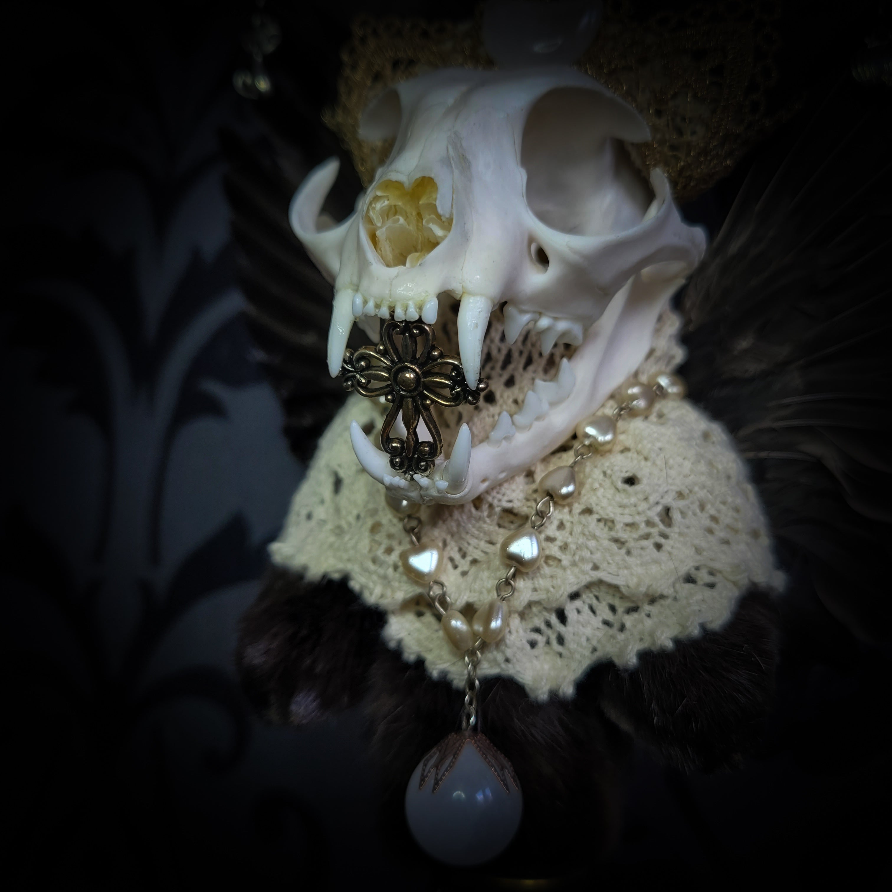 Silent Companion — handmade gothic art doll, made to order. One-of-a-kind puppet with real animal skull on antique decorative base, fully handmade original character. Dark collectible sculpture by Morbid Oddities.