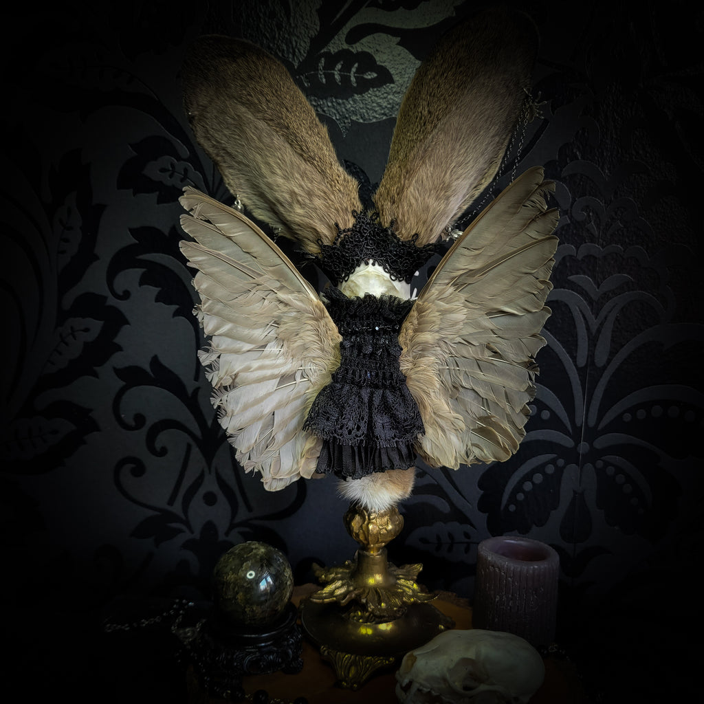 Silent Companion — handmade gothic art doll, made to order. One-of-a-kind puppet with real animal skull on antique decorative base, fully handmade original character. Dark collectible sculpture by Morbid Oddities.
