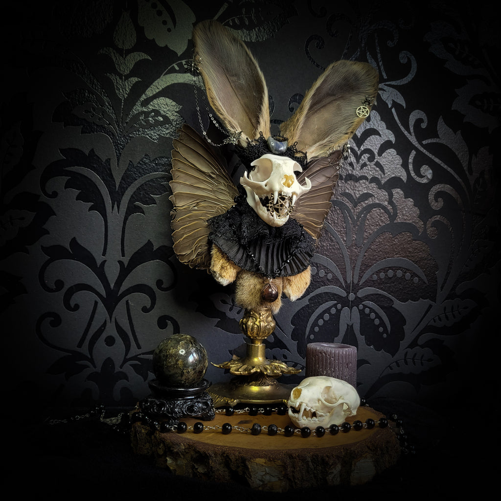 Silent Companion — handmade gothic art doll, made to order. One-of-a-kind puppet with real animal skull on antique decorative base, fully handmade original character. Dark collectible sculpture by Morbid Oddities.