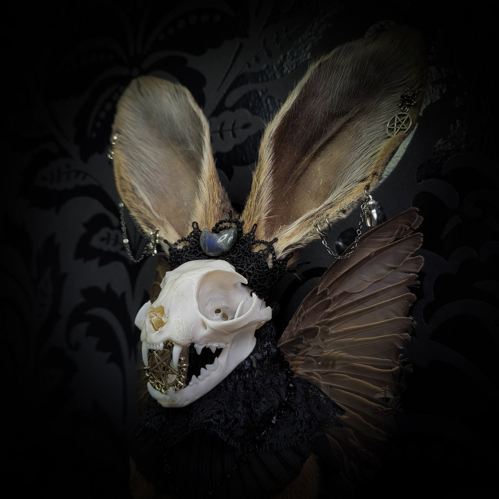 Silent Companion — handmade gothic art doll, made to order. One-of-a-kind puppet with real animal skull on antique decorative base, fully handmade original character. Dark collectible sculpture by Morbid Oddities.