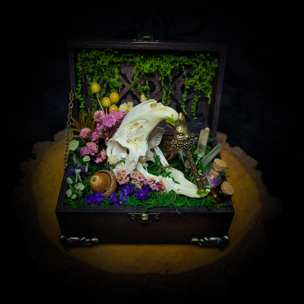 Wonderland | Witches — handmade gothic decor with real bunny skull, preserved moss, florals, lichens, glass vials with crystal shards and ornamental key in hand-painted wooden box, dark Wonderland aesthetic, 11.5x10cm