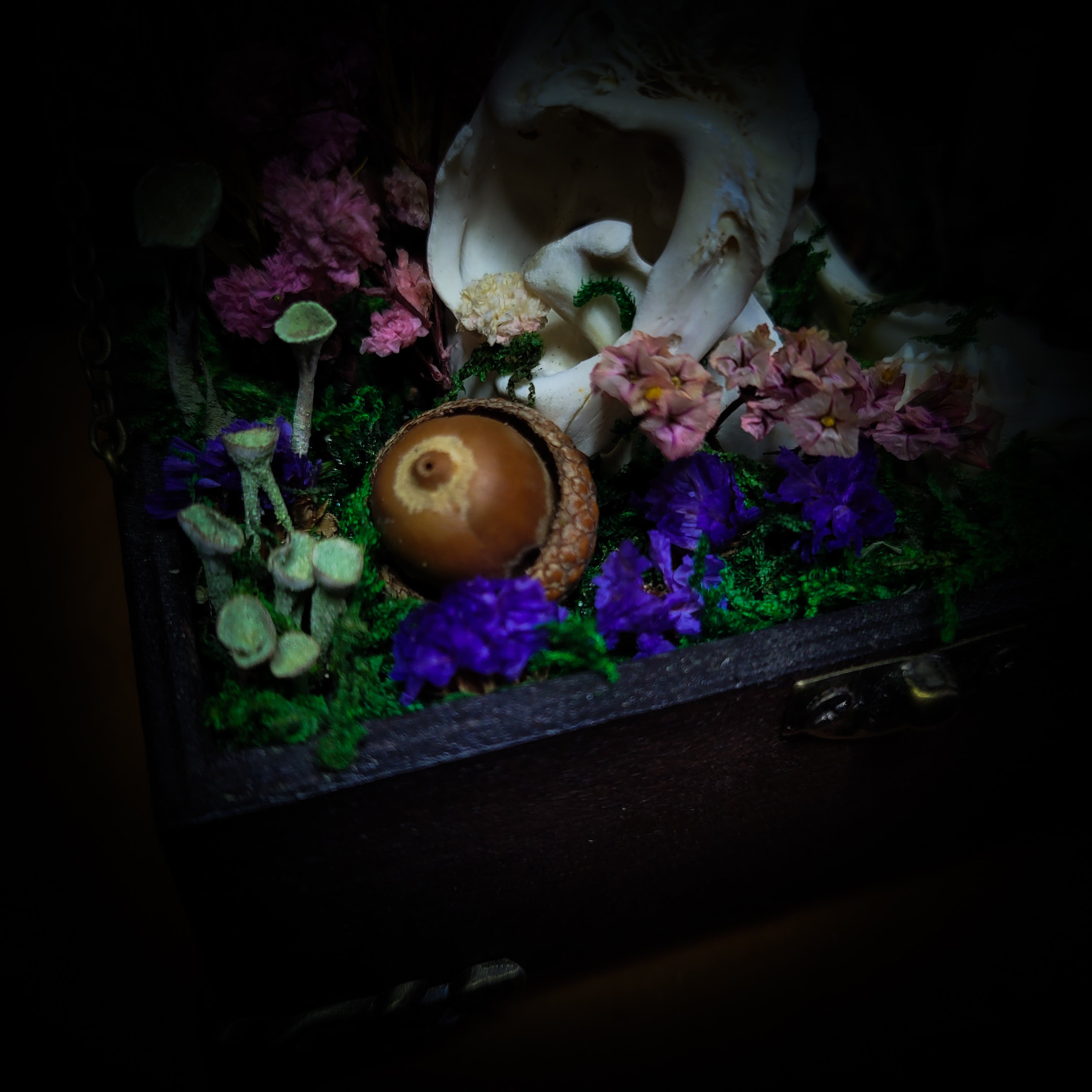 Wonderland | Witches — handmade gothic decor with real bunny skull, preserved moss, florals, lichens, glass vials with crystal shards and ornamental key in hand-painted wooden box, dark Wonderland aesthetic, 11.5x10cm