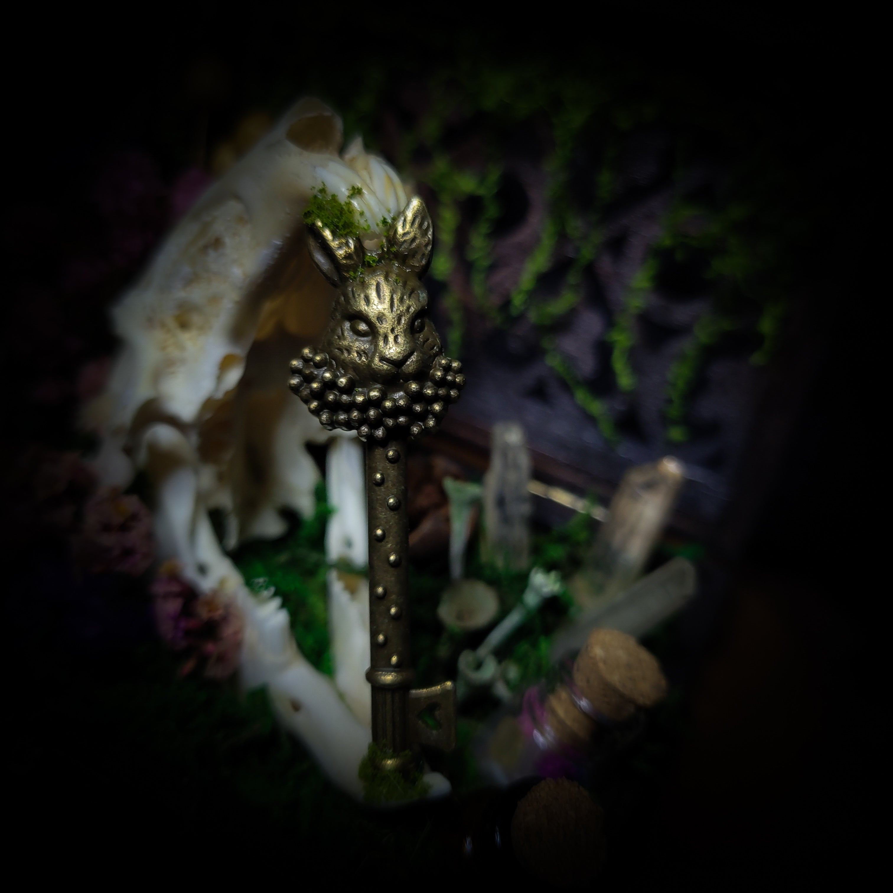 Wonderland | Witches — handmade gothic decor with real bunny skull, preserved moss, florals, lichens, glass vials with crystal shards and ornamental key in hand-painted wooden box, dark Wonderland aesthetic, 11.5x10cm
