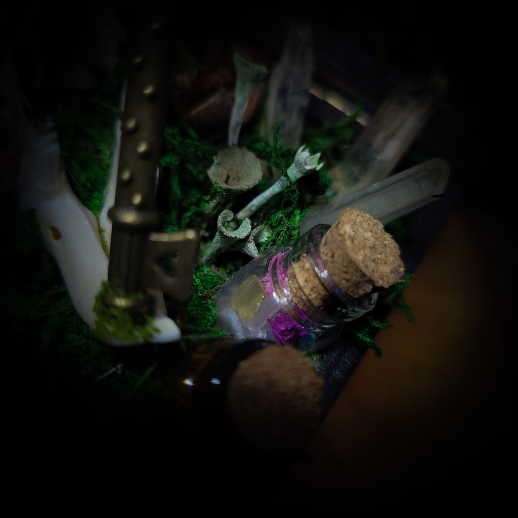 Wonderland | Witches — handmade gothic decor with real bunny skull, preserved moss, florals, lichens, glass vials with crystal shards and ornamental key in hand-painted wooden box, dark Wonderland aesthetic, 11.5x10cm
