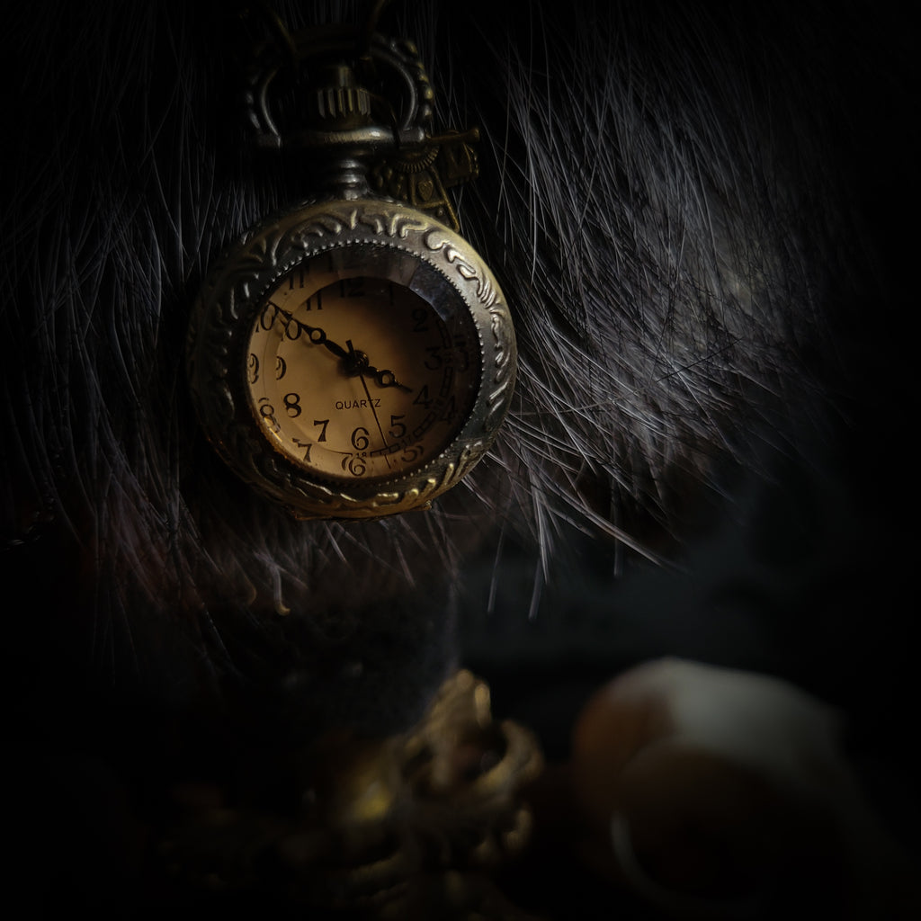 Silent Companion — handmade gothic art doll, made to order. One-of-a-kind puppet with real animal skull on antique decorative base, fully handmade original character. Dark collectible sculpture by Morbid Oddities.