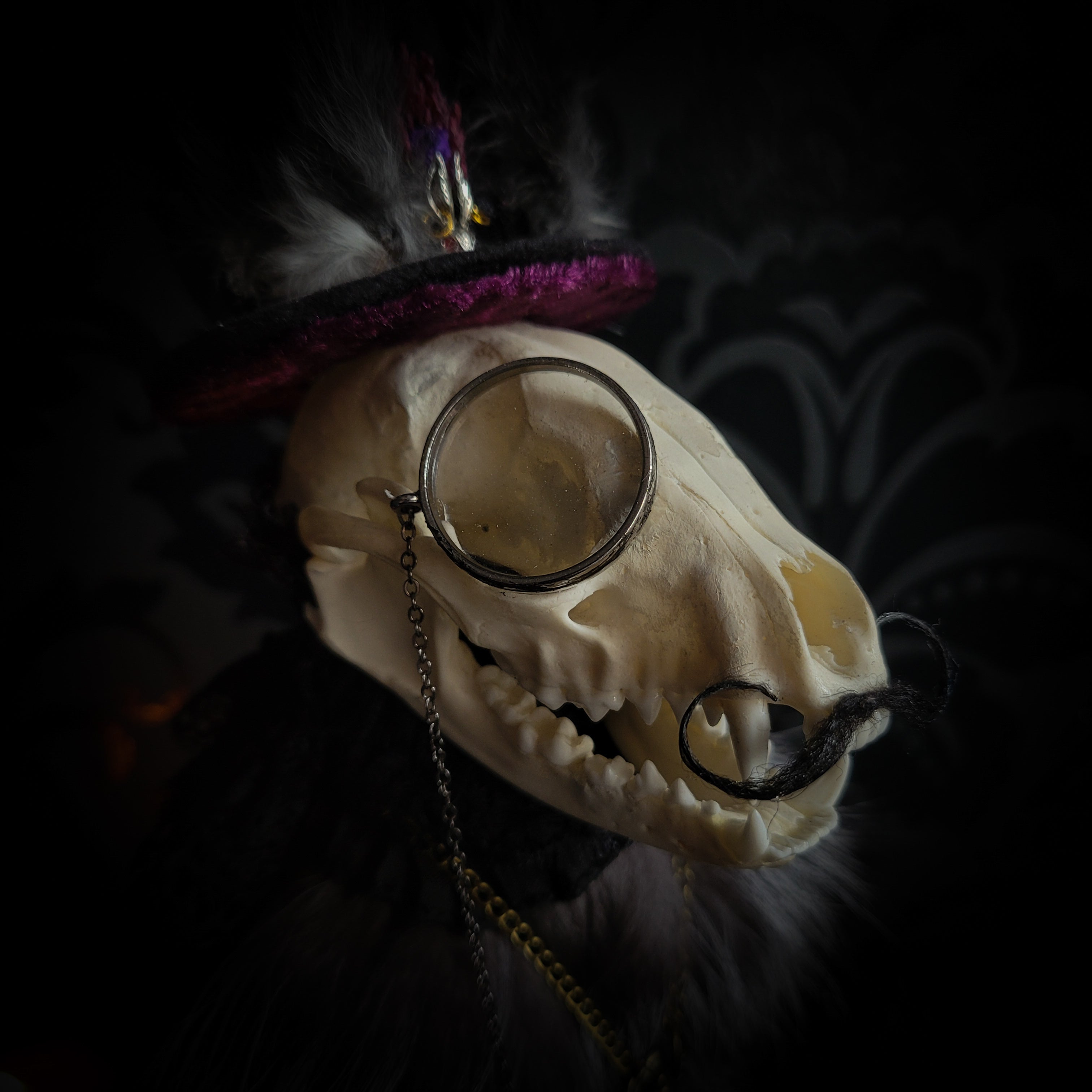 Silent Companion — handmade gothic art doll, made to order. One-of-a-kind puppet with real animal skull on antique decorative base, fully handmade original character. Dark collectible sculpture by Morbid Oddities.